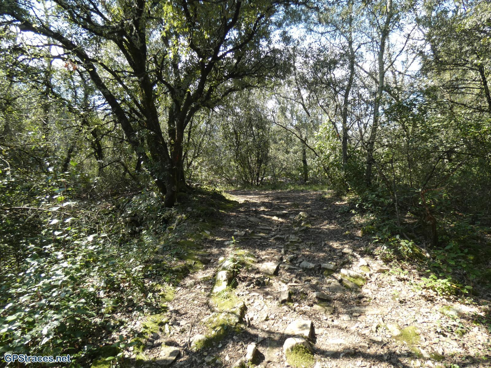 Gard-De St-Just-et-Vacquières à Celas–12