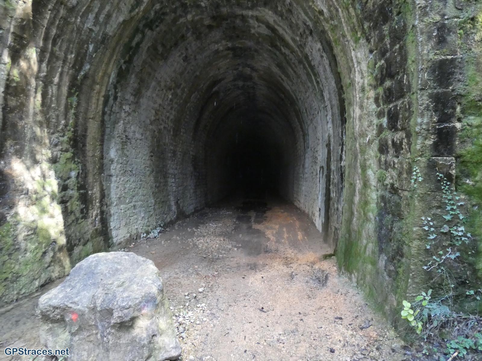 Gard-De St-Just-et-Vacquières à Celas–29