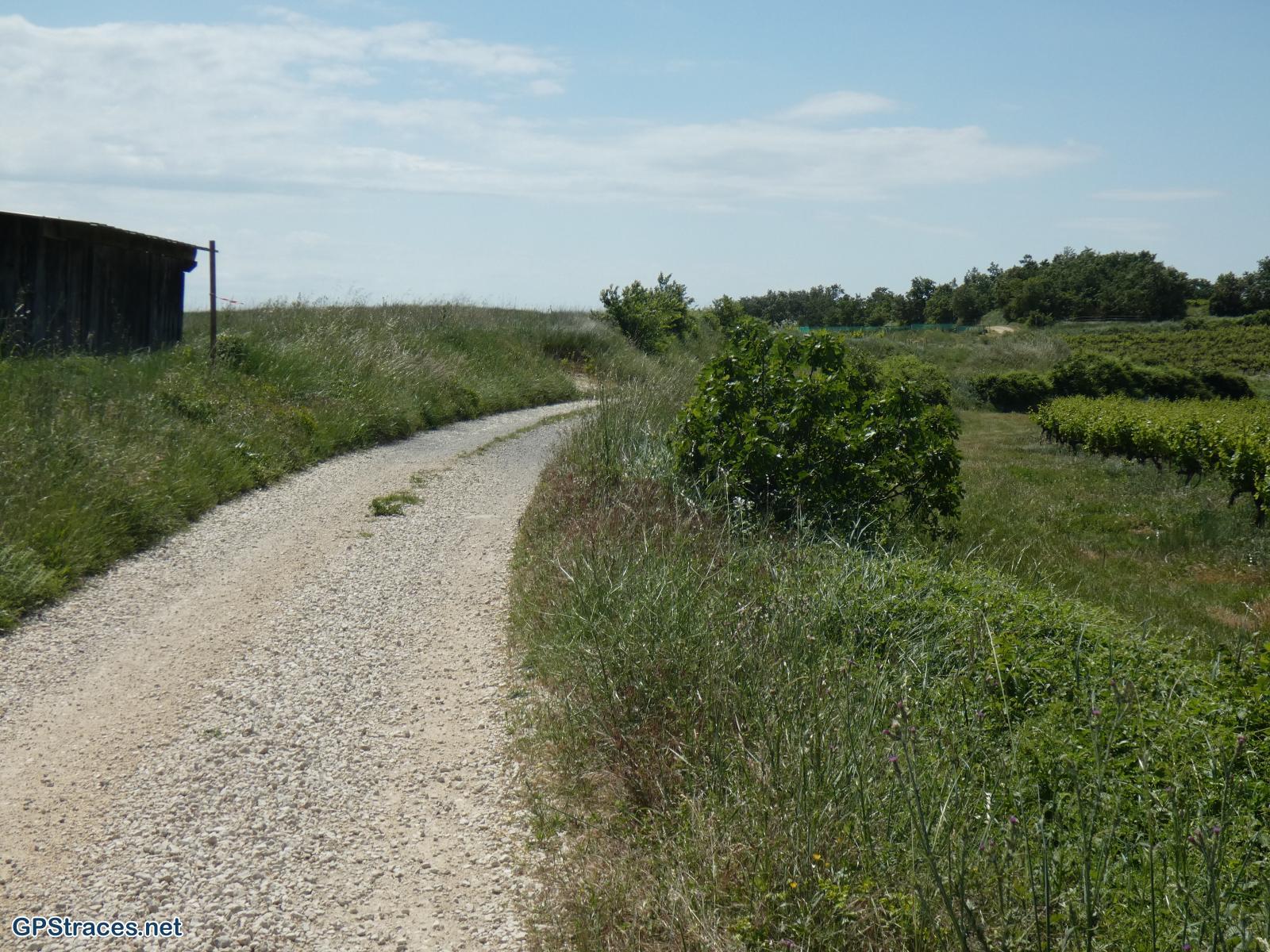 Gard-De St-Maurice de Cazevielle à St-Dezéry–3