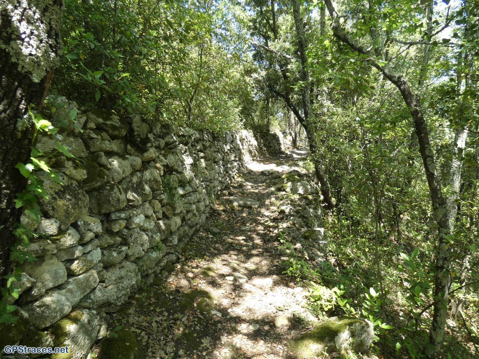 Gard-De St-Maurice de Cazevielle à St-Dezéry–11