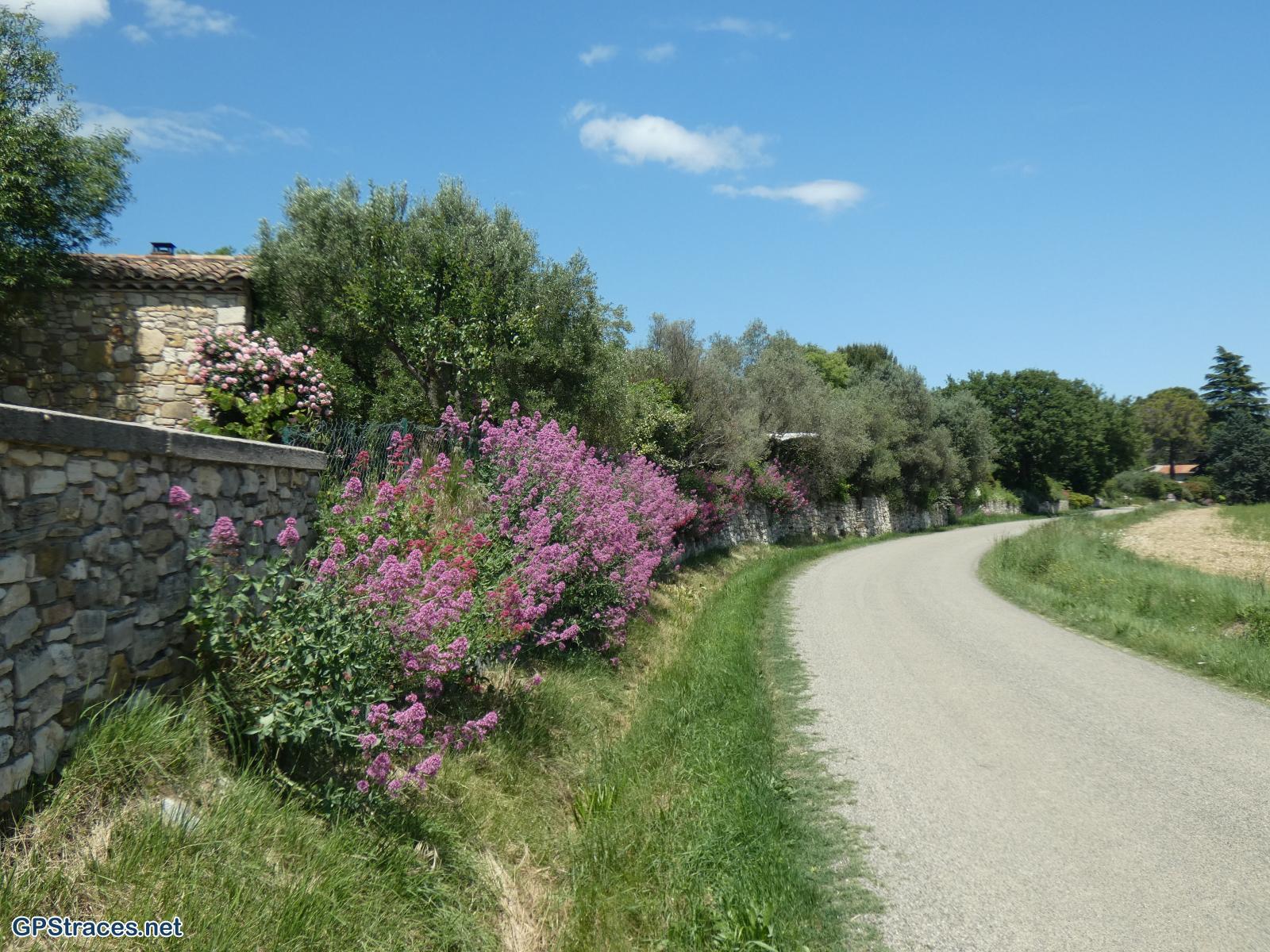 St-Dézéry