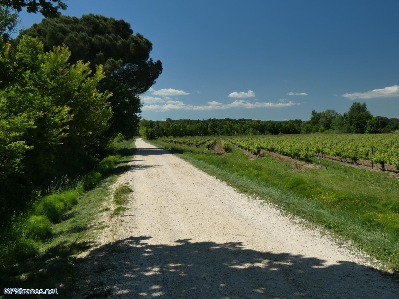 Gard-De St-Maurice de Cazevielle à St-Dezéry–24