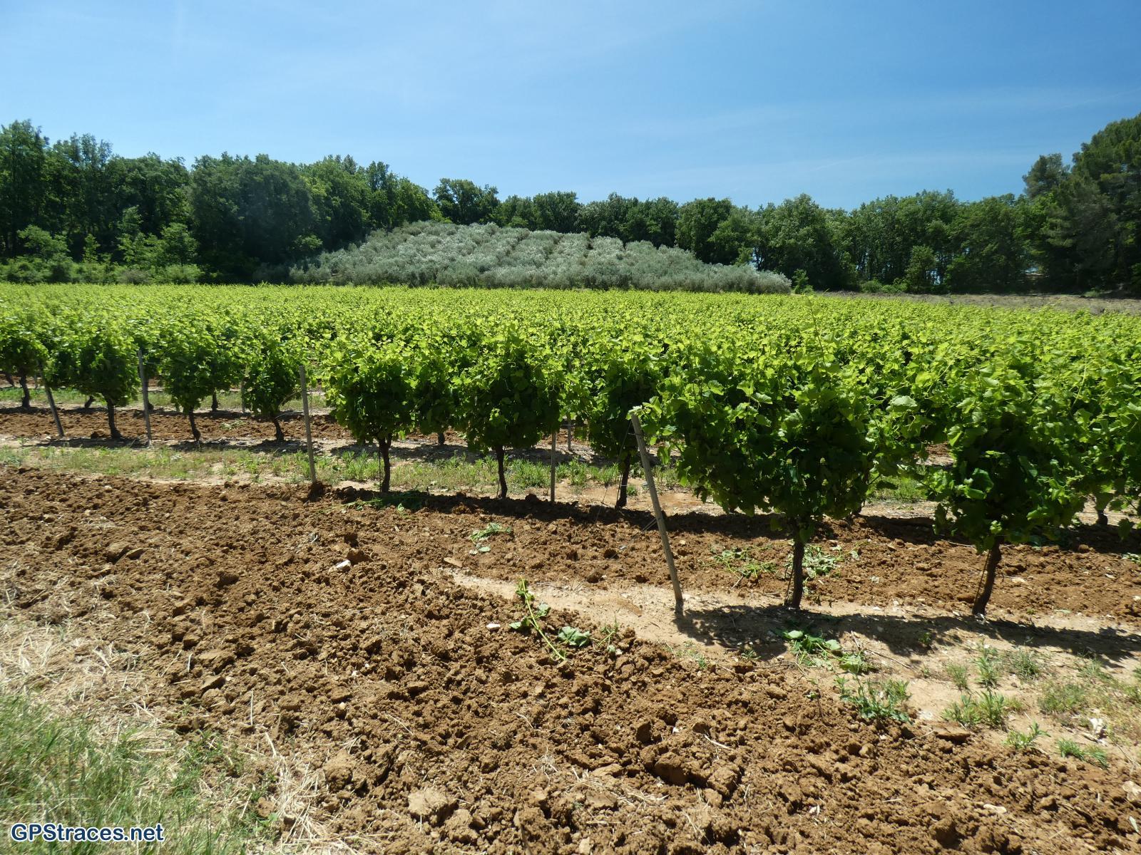 Gard-De St-Maurice de Cazevielle à Valence–3