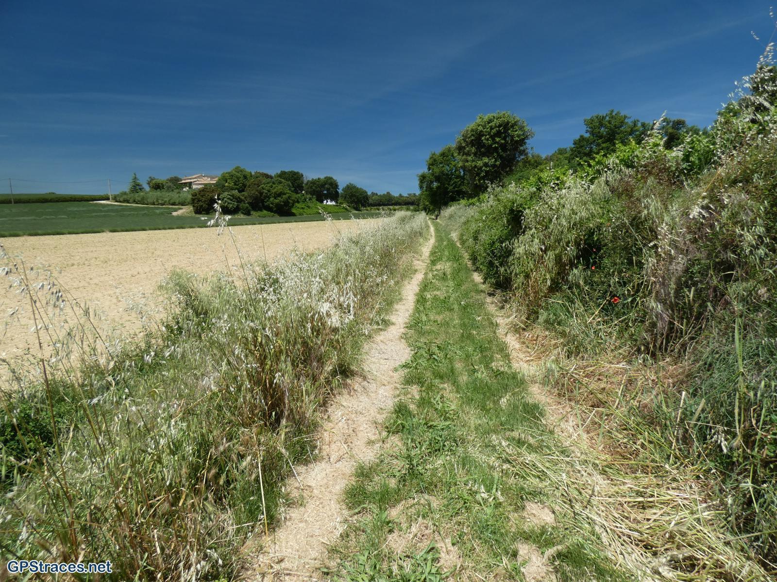 Gard-De St-Maurice de Cazevielle à Valence–5