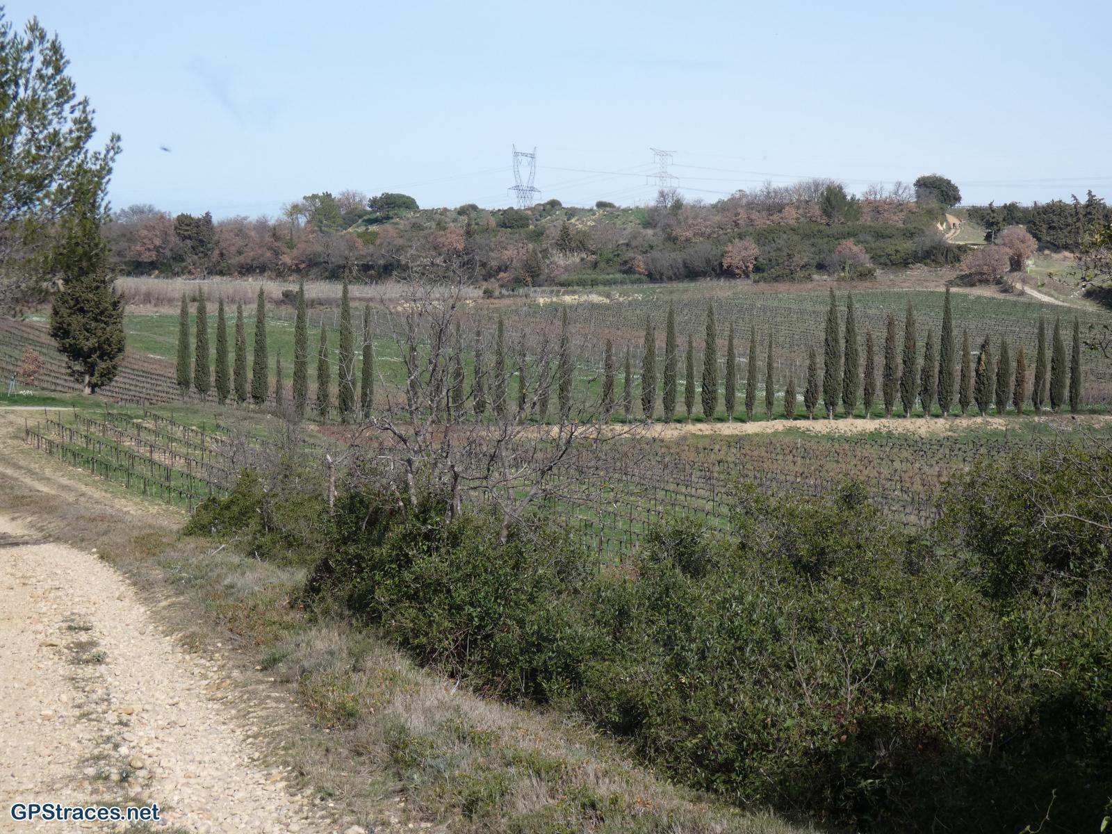 Gard-De Théziers à Domazan–7