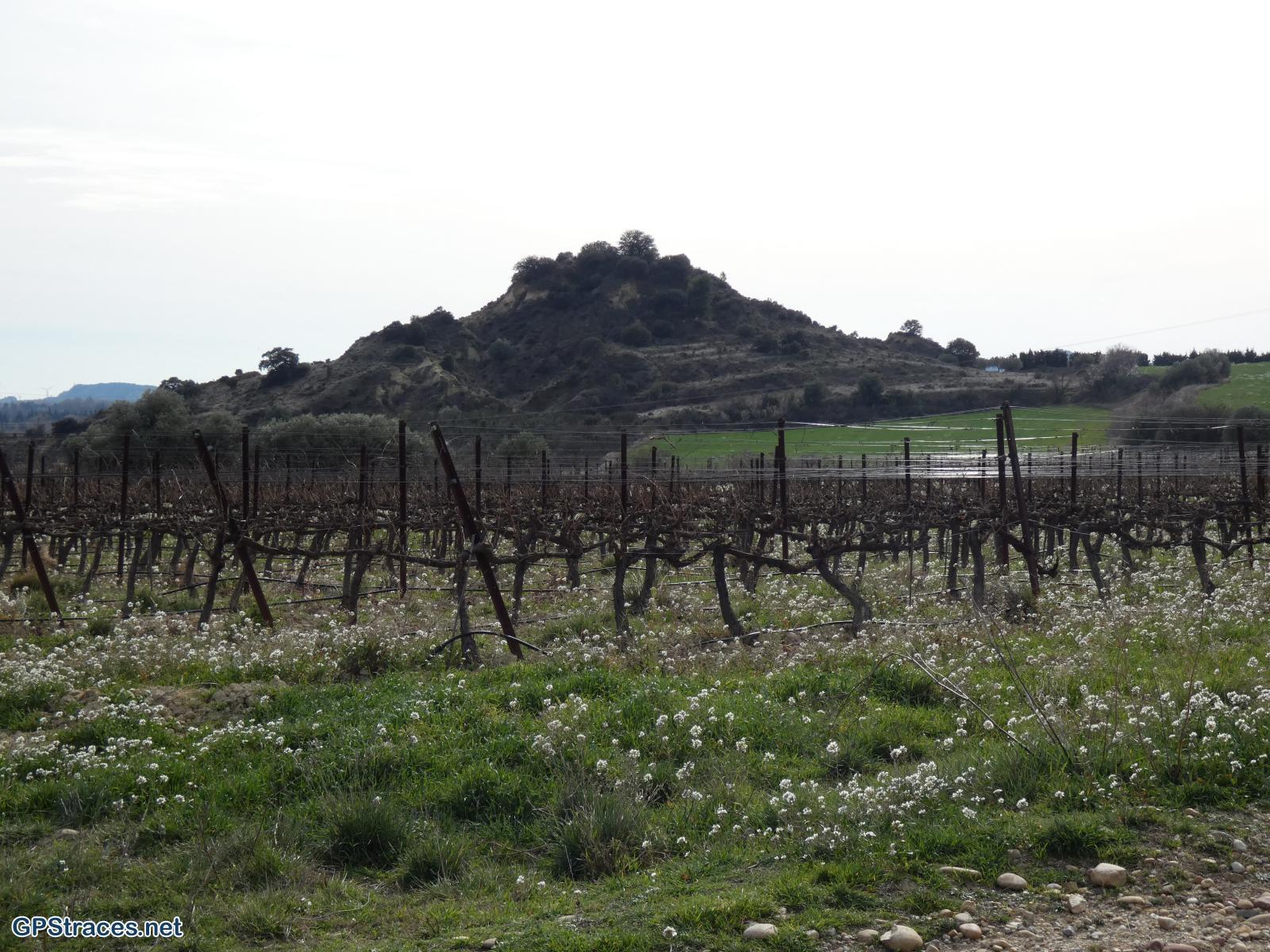 Le Mourre de Pierredon