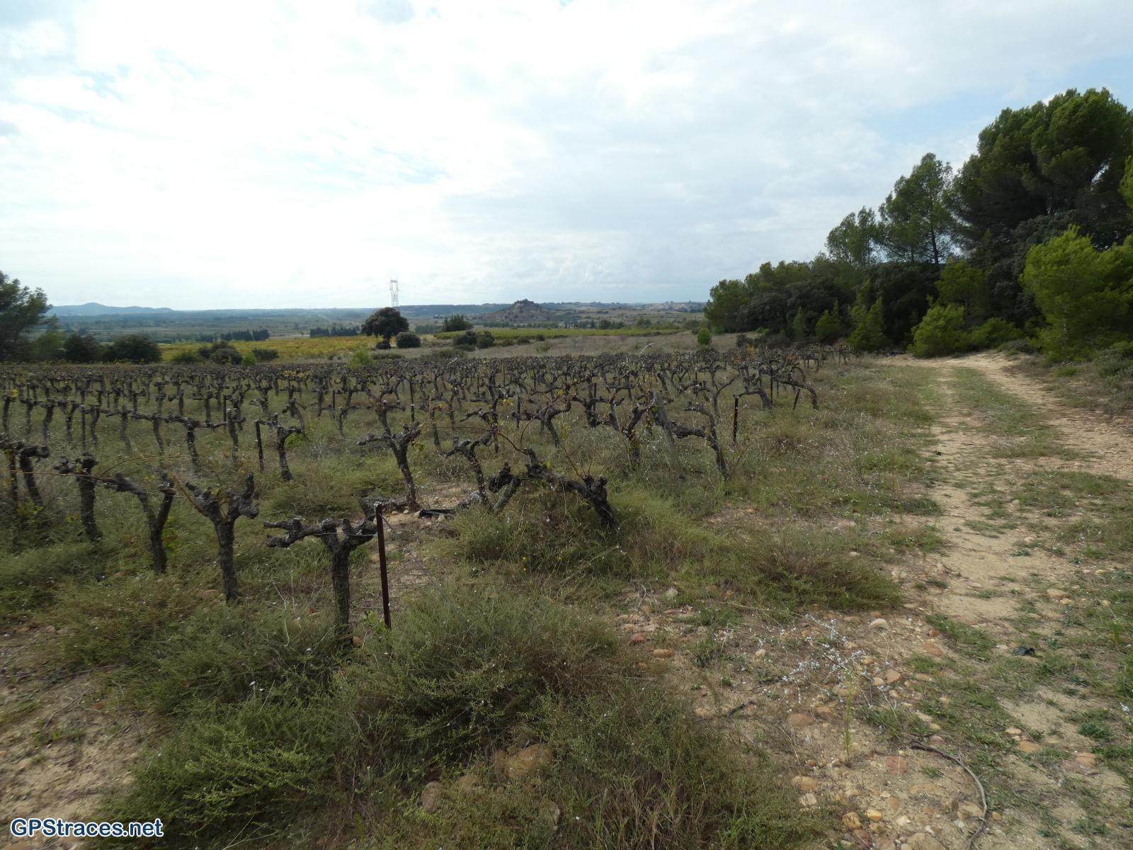 Gard-De Théziers à Vachusclaire–8