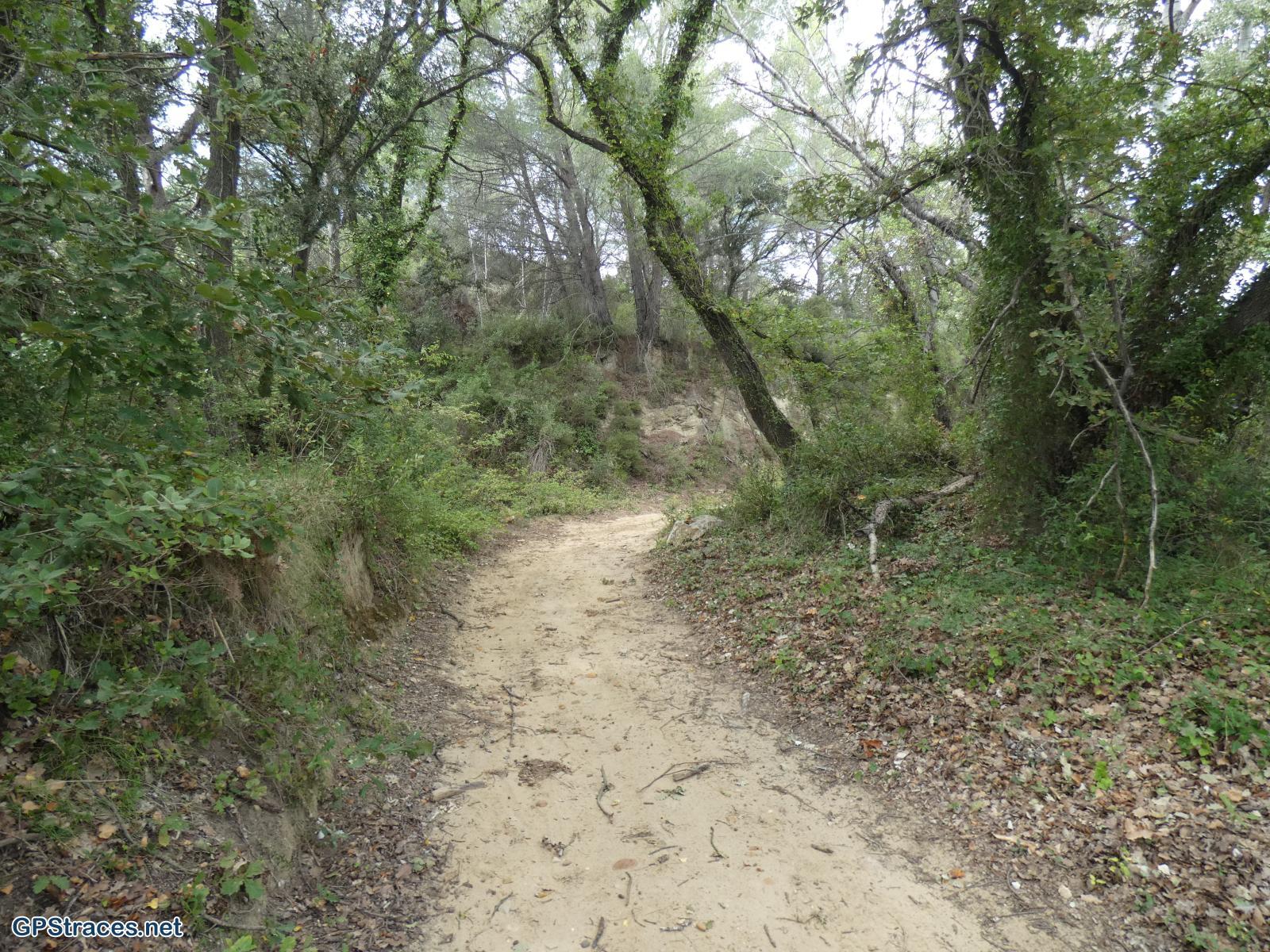 Gard-De Théziers à Vachusclaire–10