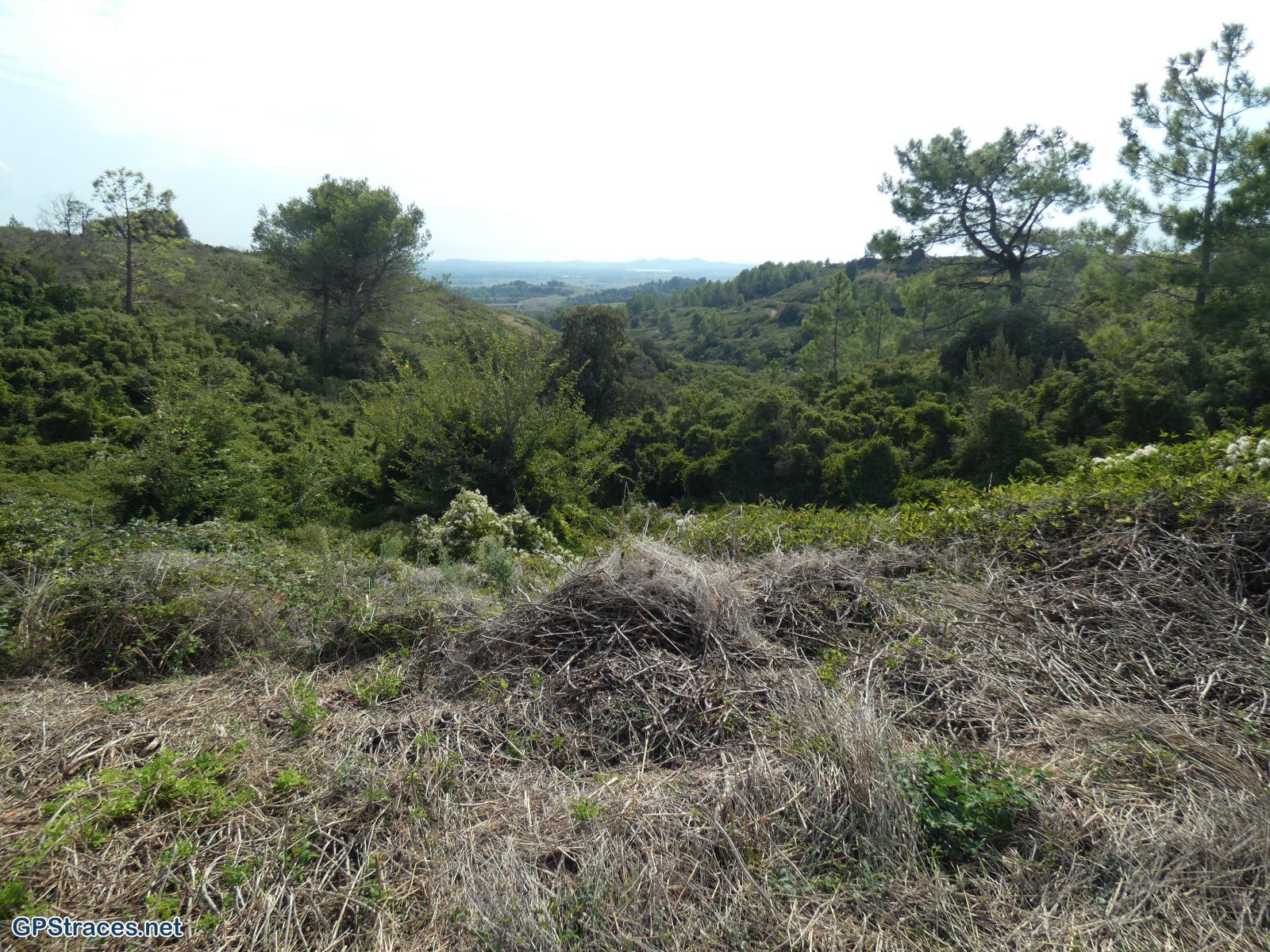 Vachusclaire