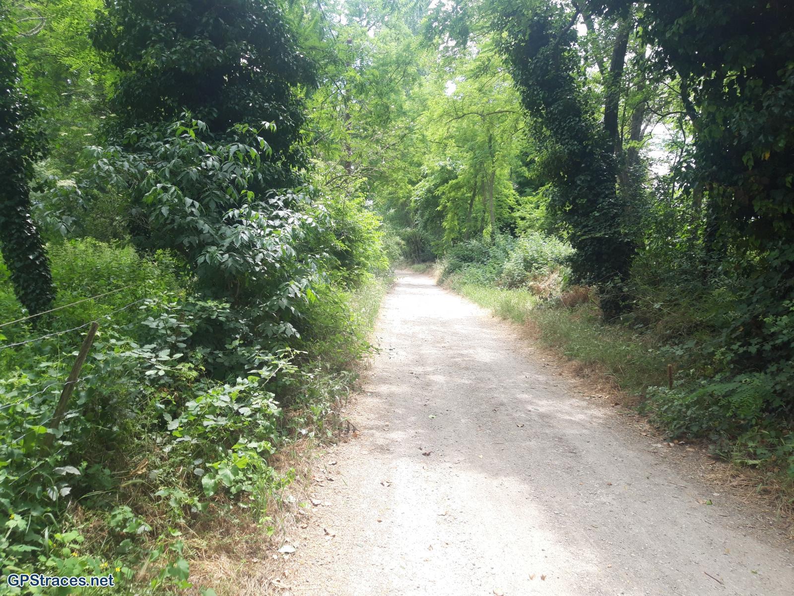 Les abords du Gardon