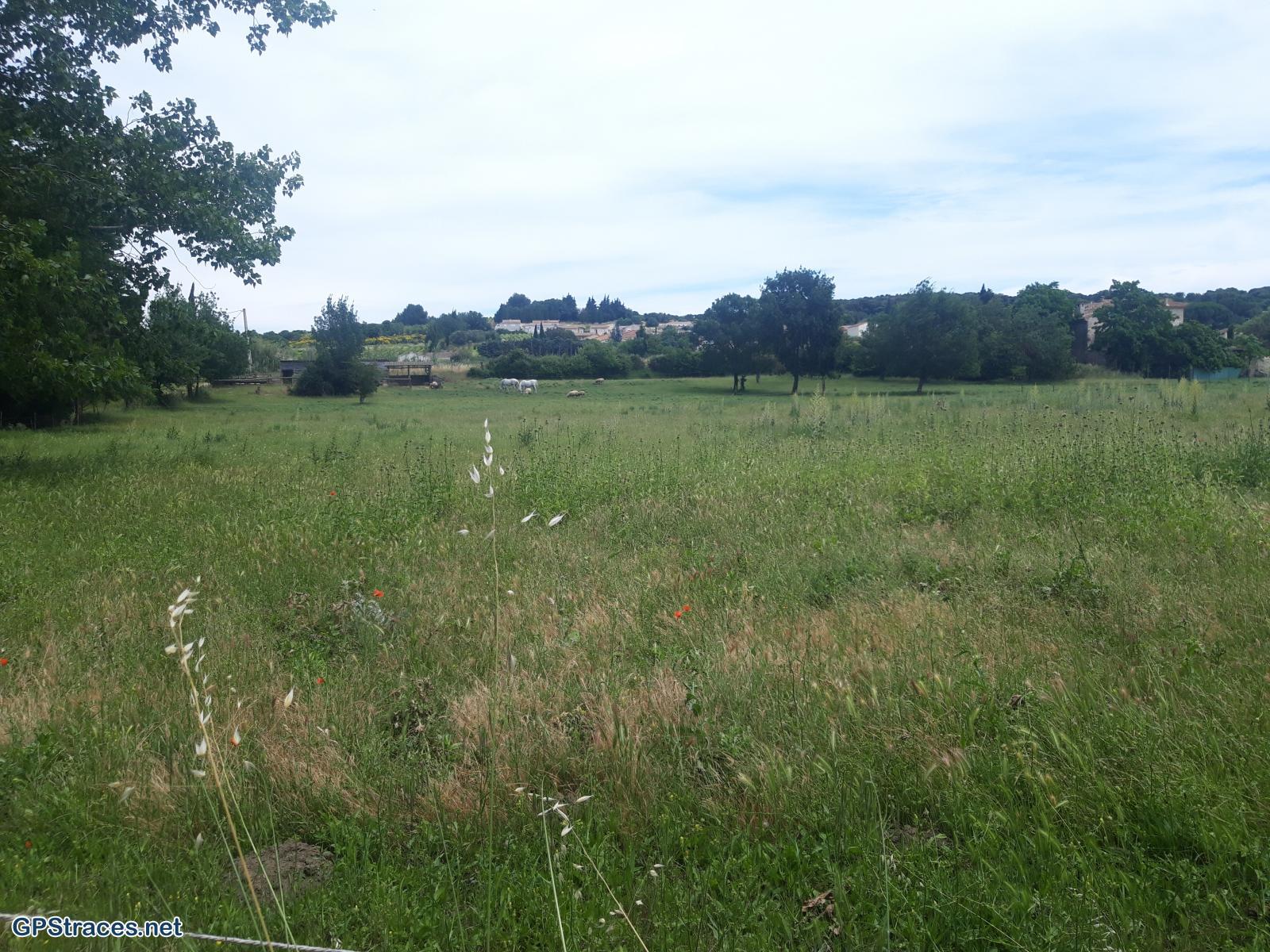 Aux abords de Théziers