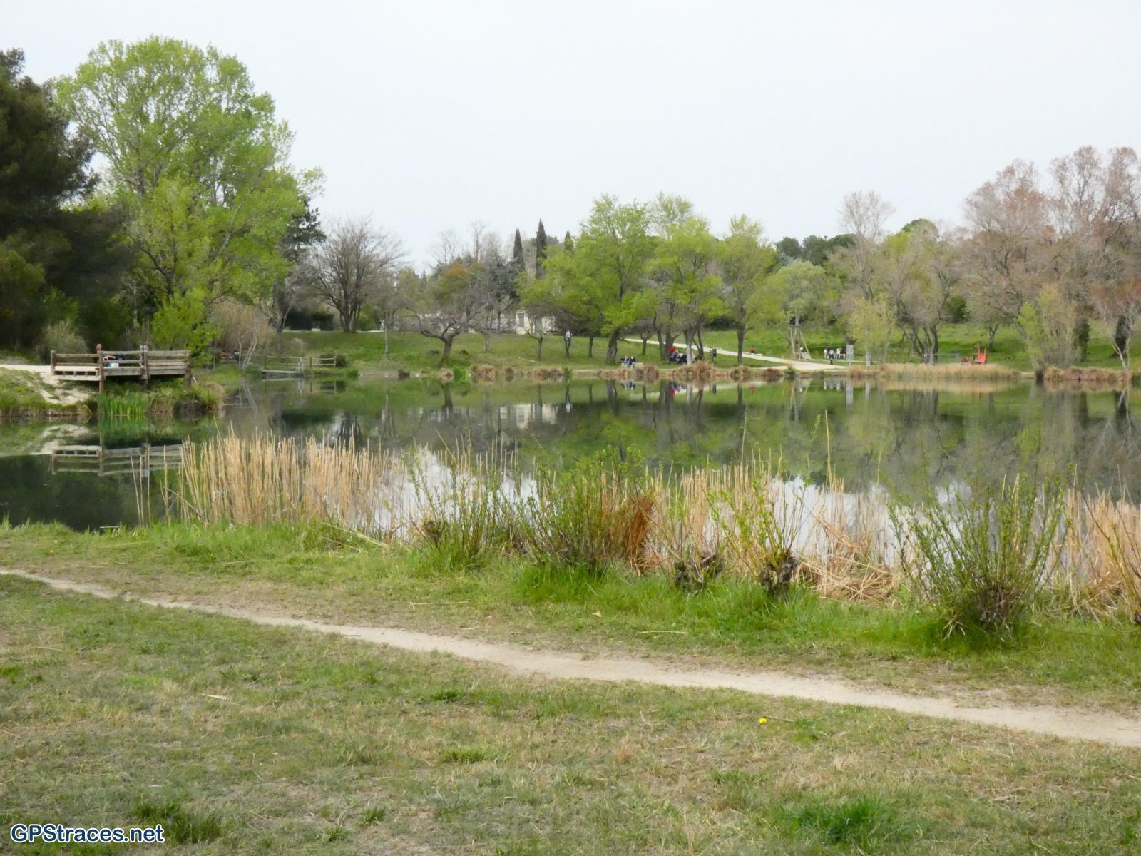 Gard-Vallabrègues - Ile du Comte–9