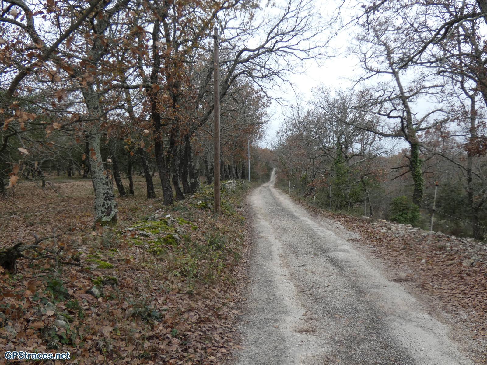 Gard-Vallérargues - Rossières–9
