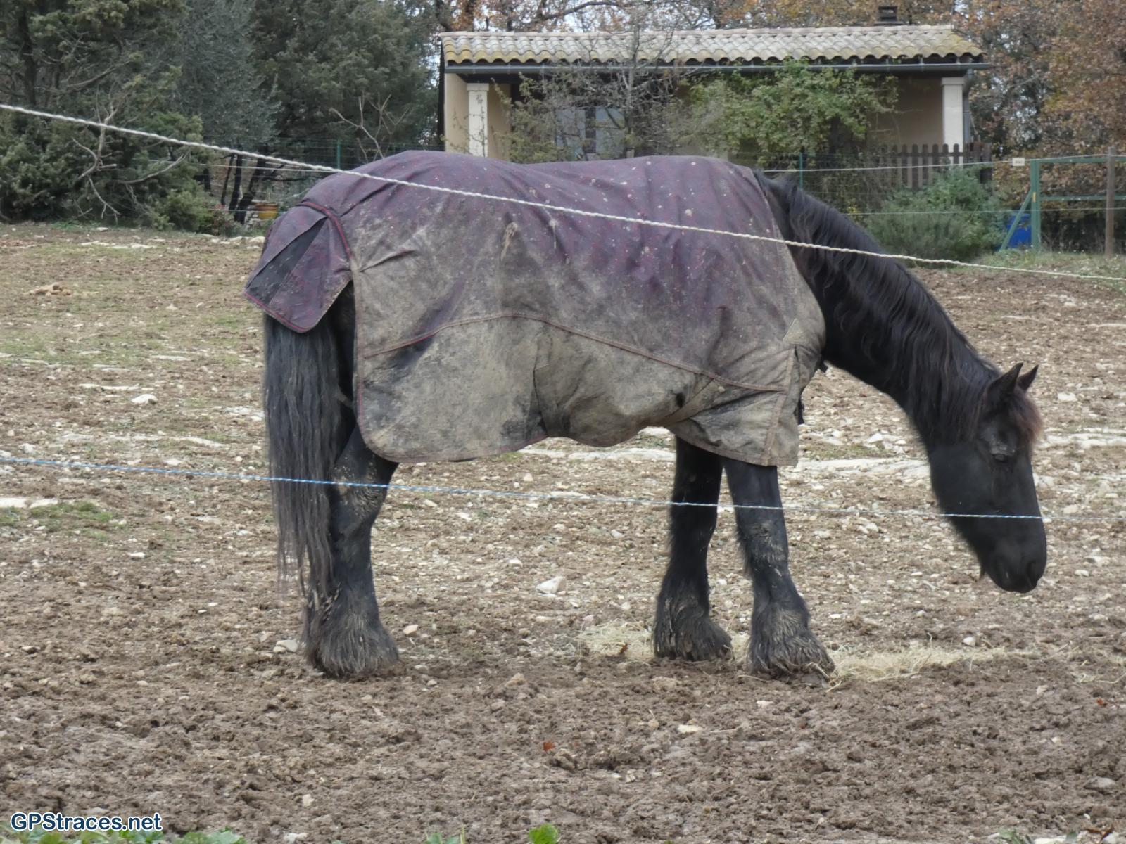 Gard-Vallérargues - Rossières–13