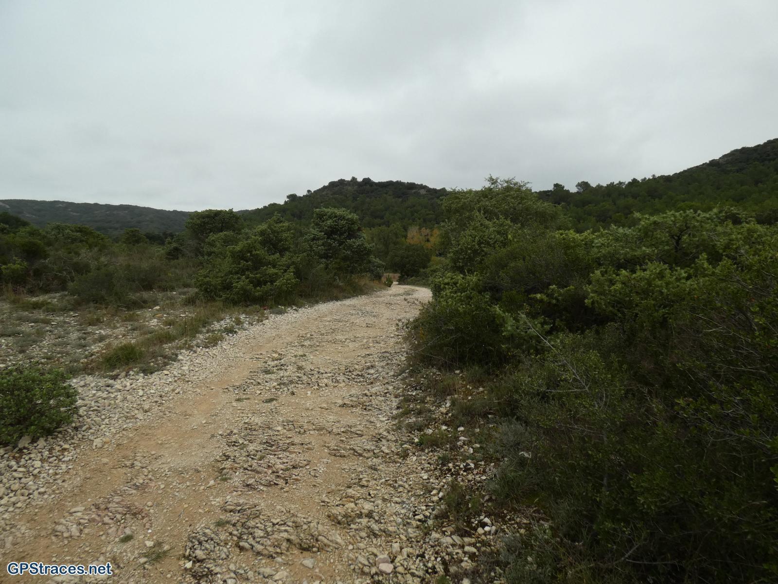 Gard-Valliguières - Bergerie de Coulomb–0
