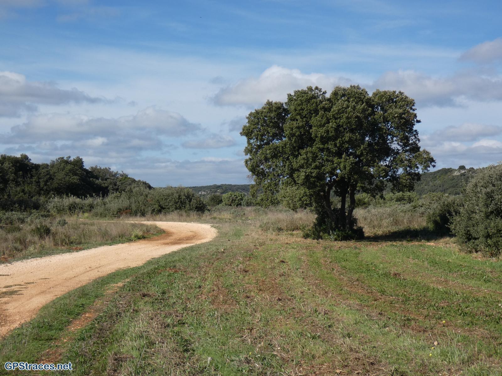 Gard-Valliguières - Bergerie de Coulomb–5