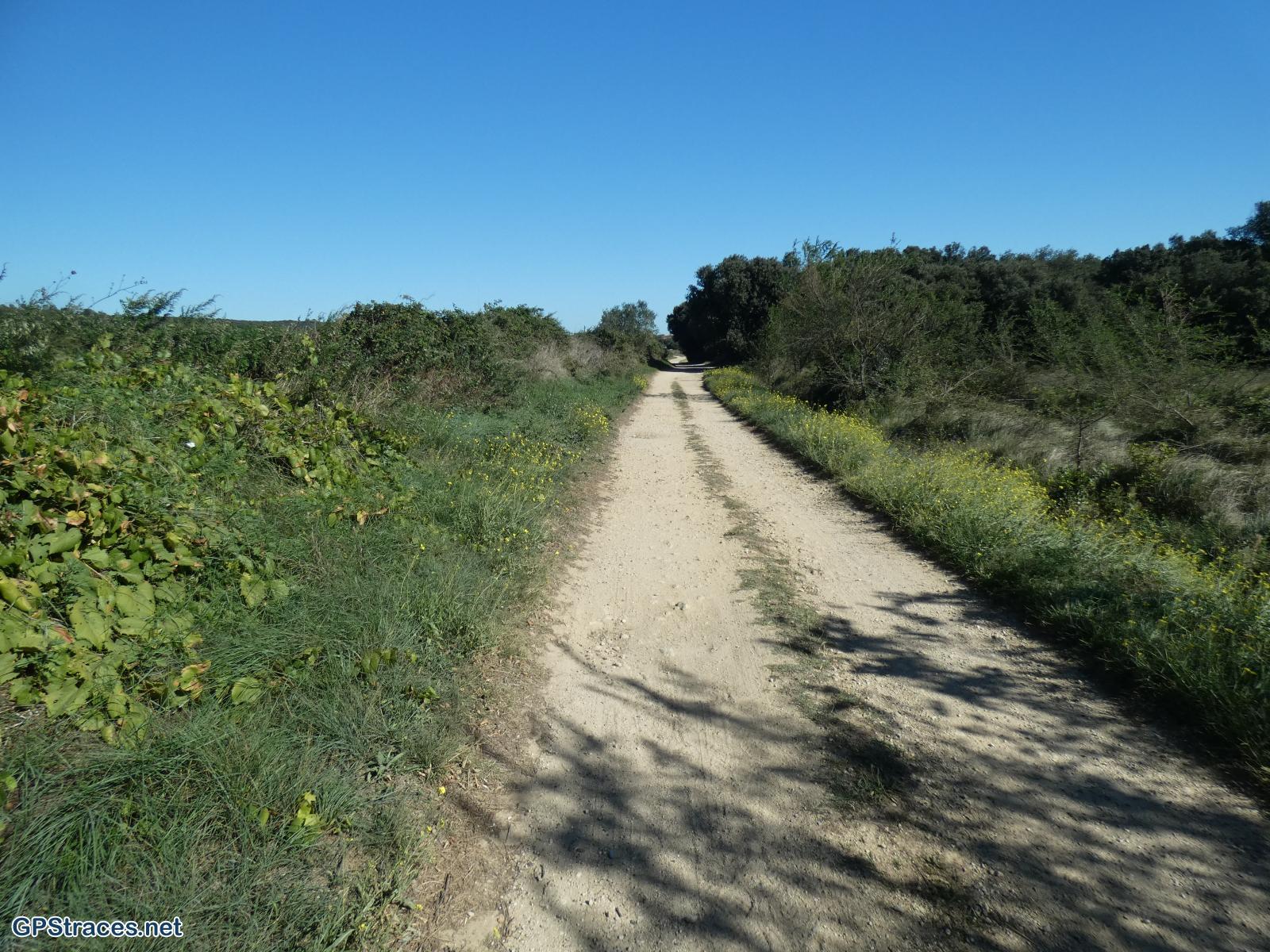 Gard-De Vers Pont Du Gard à Collias–15