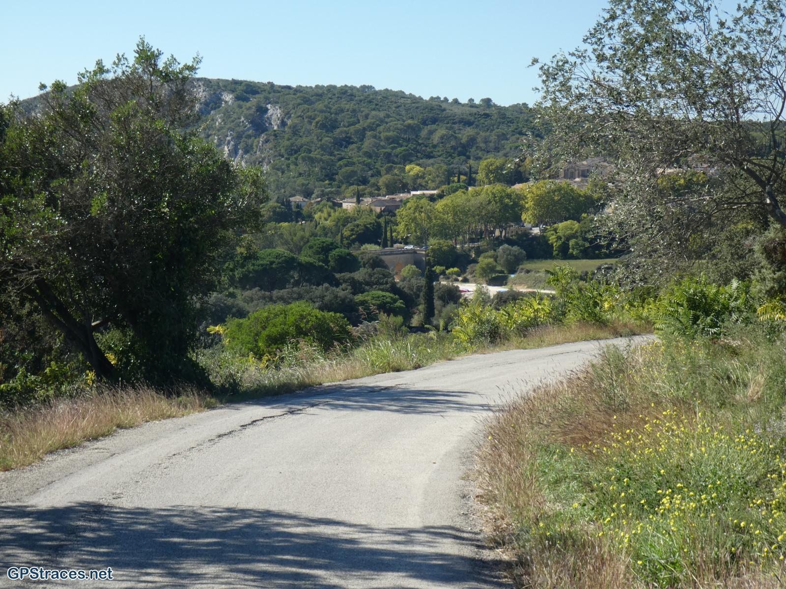 Collias