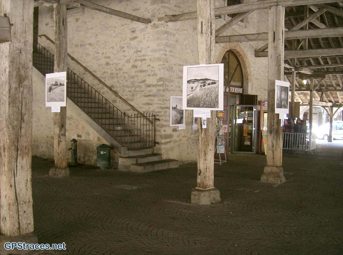 Haute Garonne-Saint-Jacques de Compostelle : Les Peyrounels - Dreuilhe–1