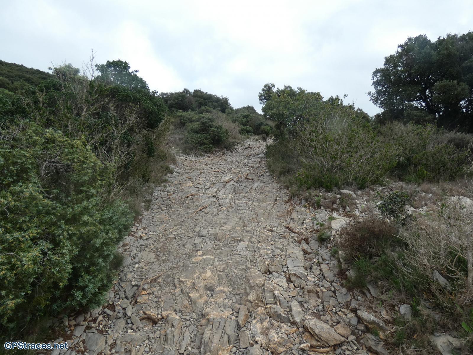En route vers le PicSaint Loup