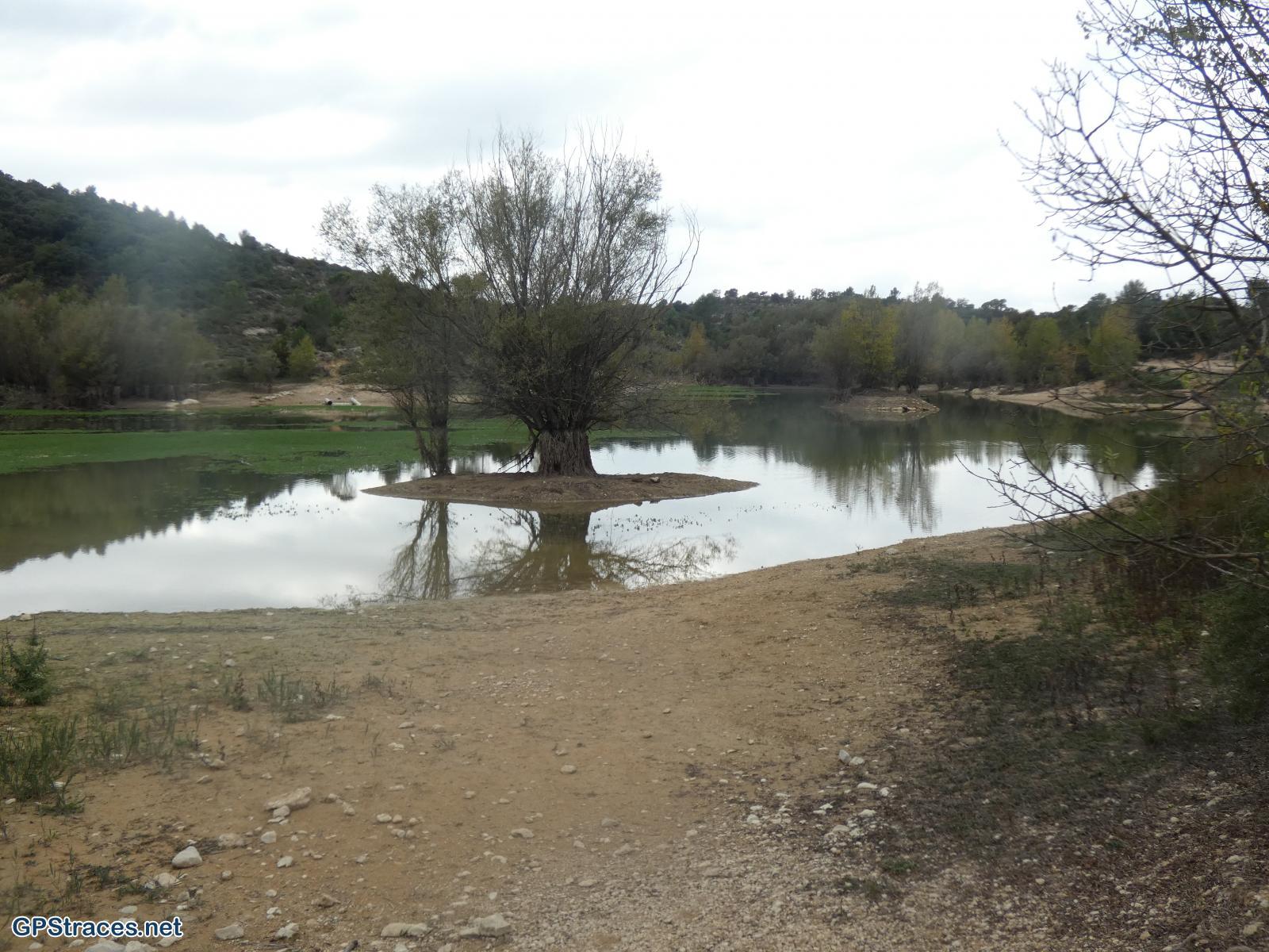 L'étang