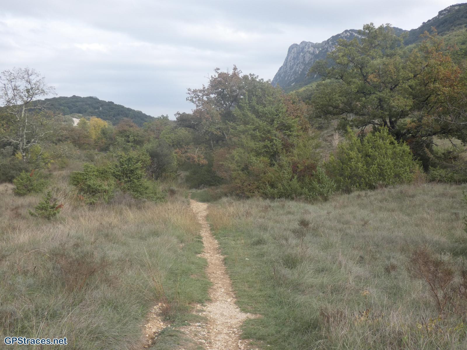 En remontant le ruisseau du Patus