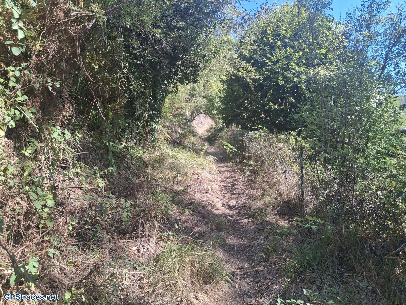 Haute Loire-Alleyras - Monistrol–3