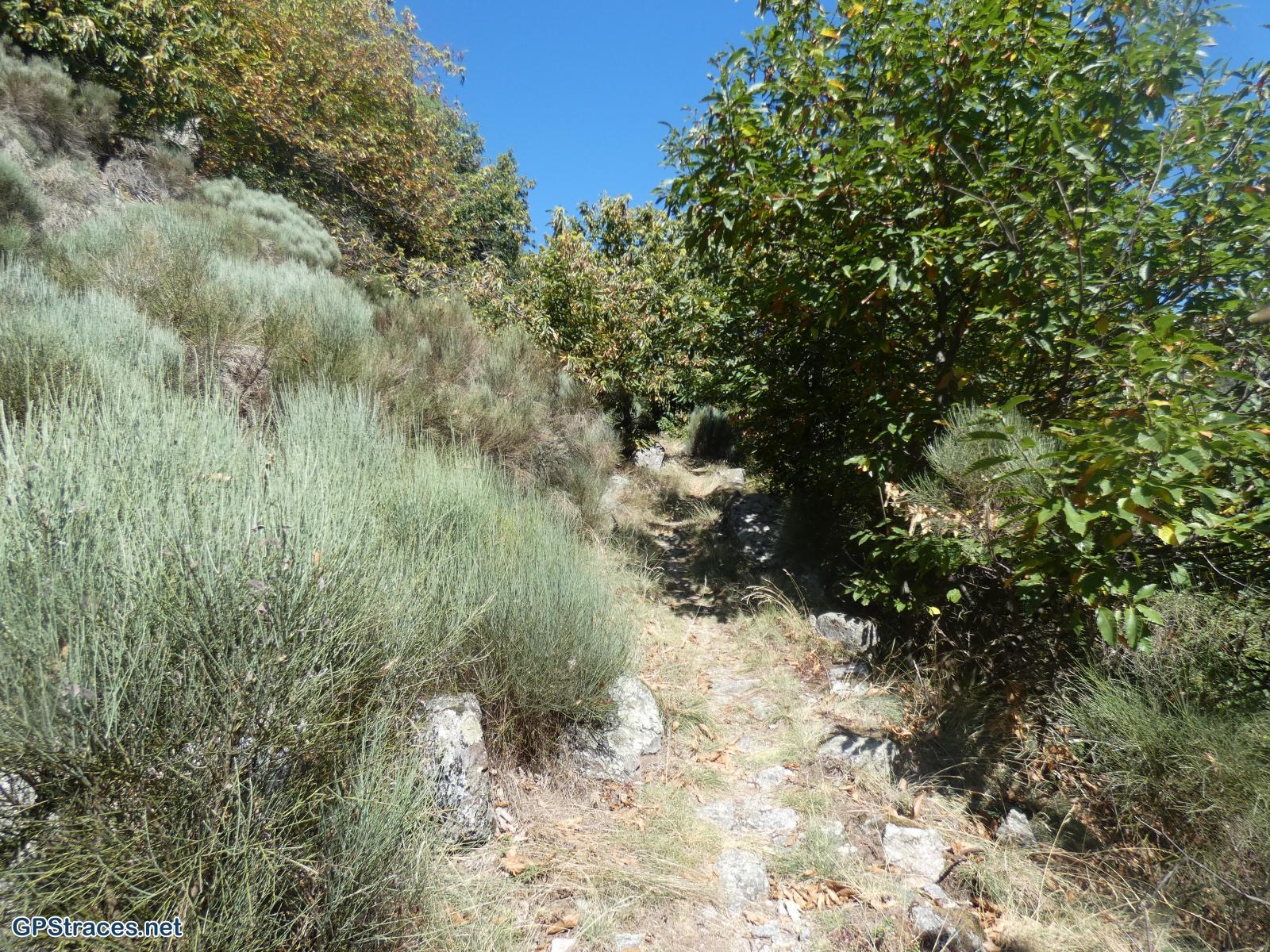 Lozère-Chassezac - Pied-de-Borne - La Garde Guérin–5
