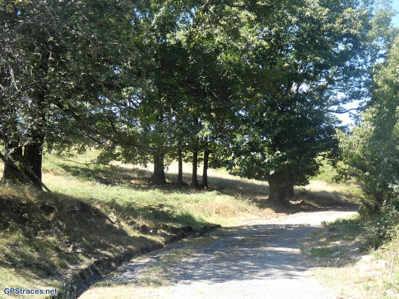 Lozère-Chassezac - Pied-de-Borne - La Garde Guérin–6