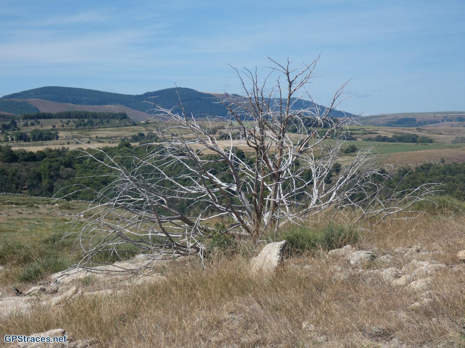 Lozère-Chassezac - Pied-de-Borne - La Garde Guérin–13