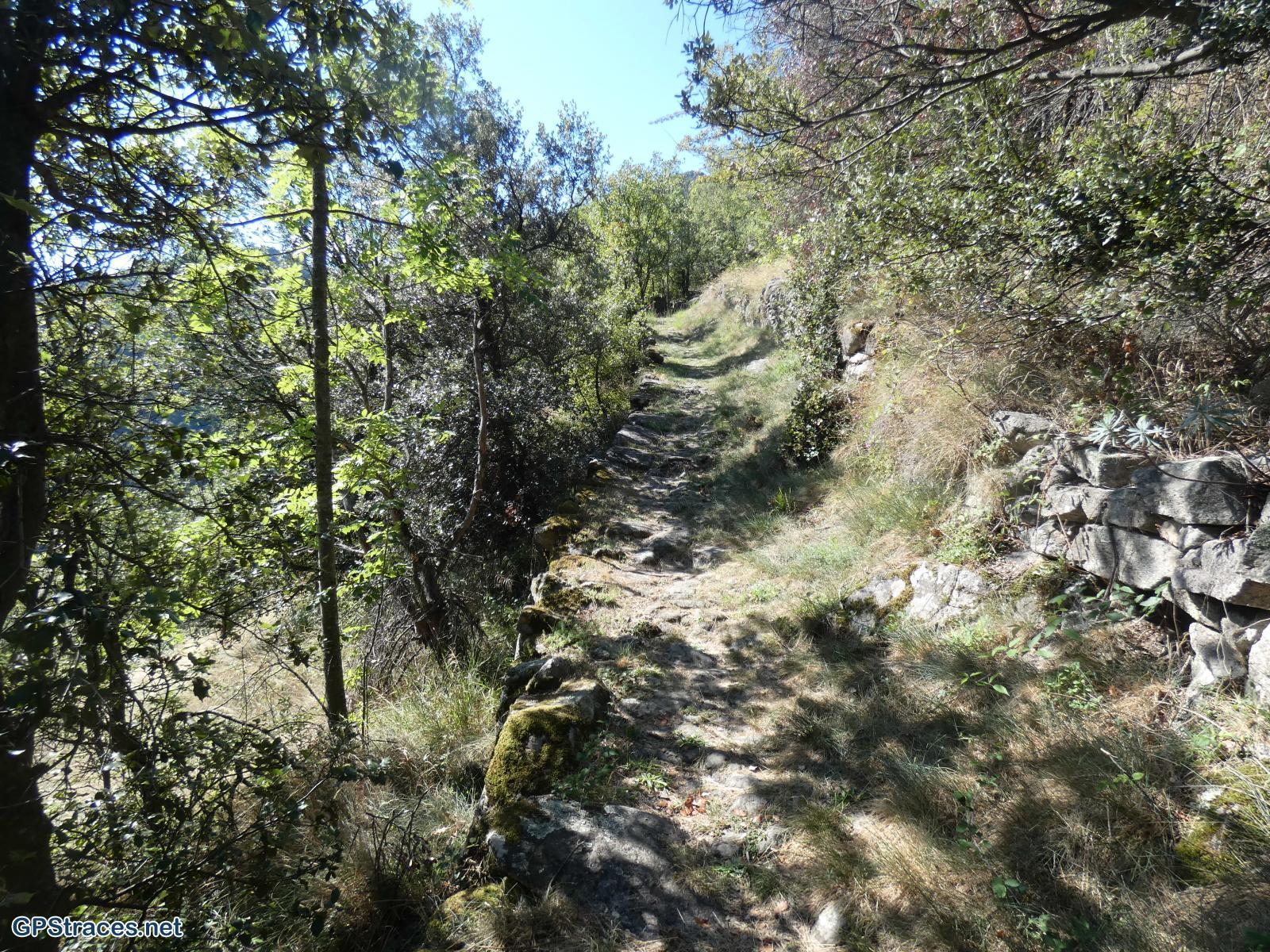 Lozère-Pied De Borne - Gorges du Chassezac–3