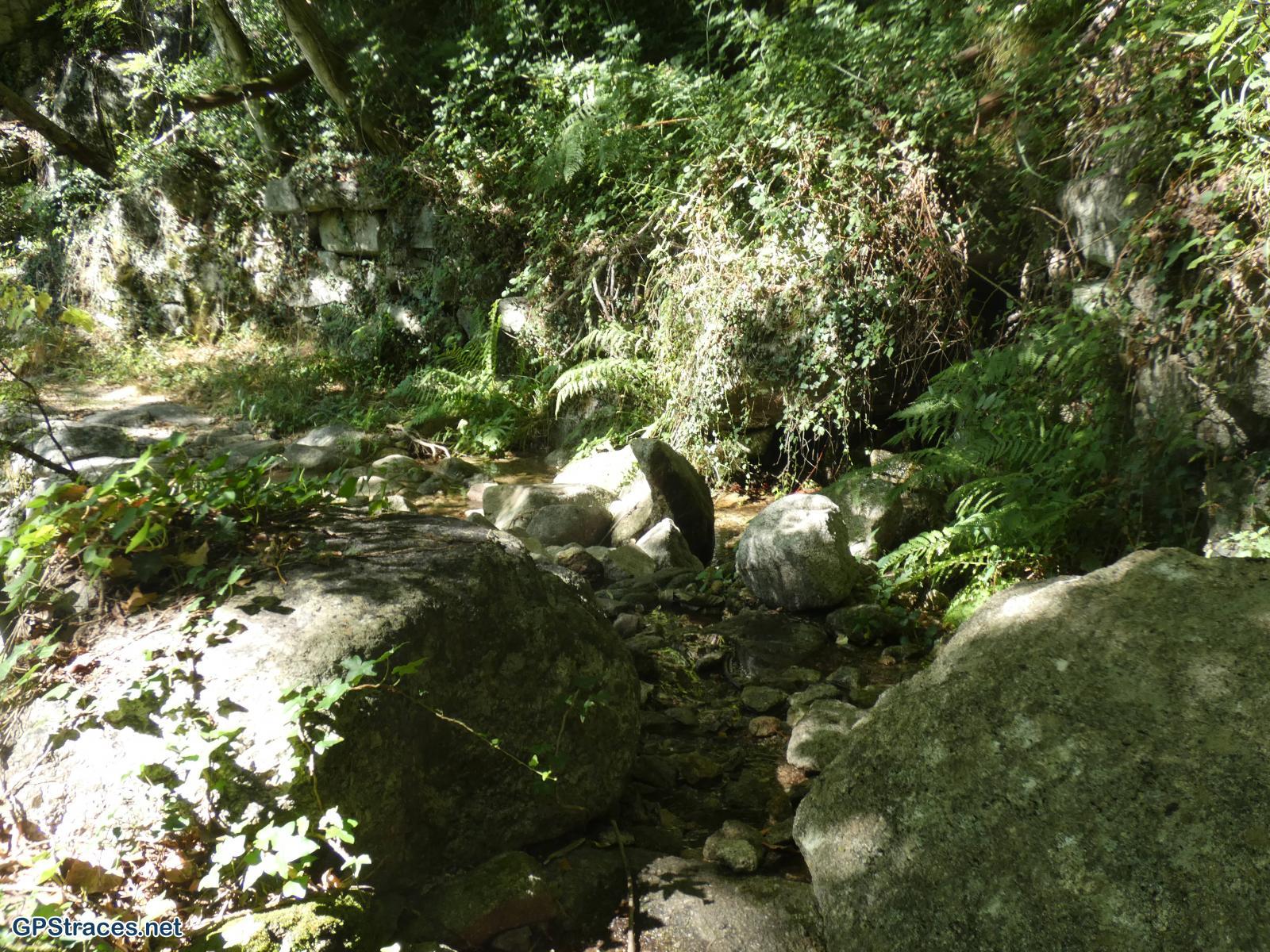 Lozère-Pied De Borne - Gorges du Chassezac–4