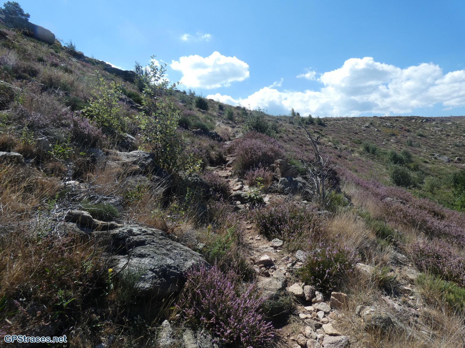 Lozère-Pied De Borne - Gorges du Chassezac–15