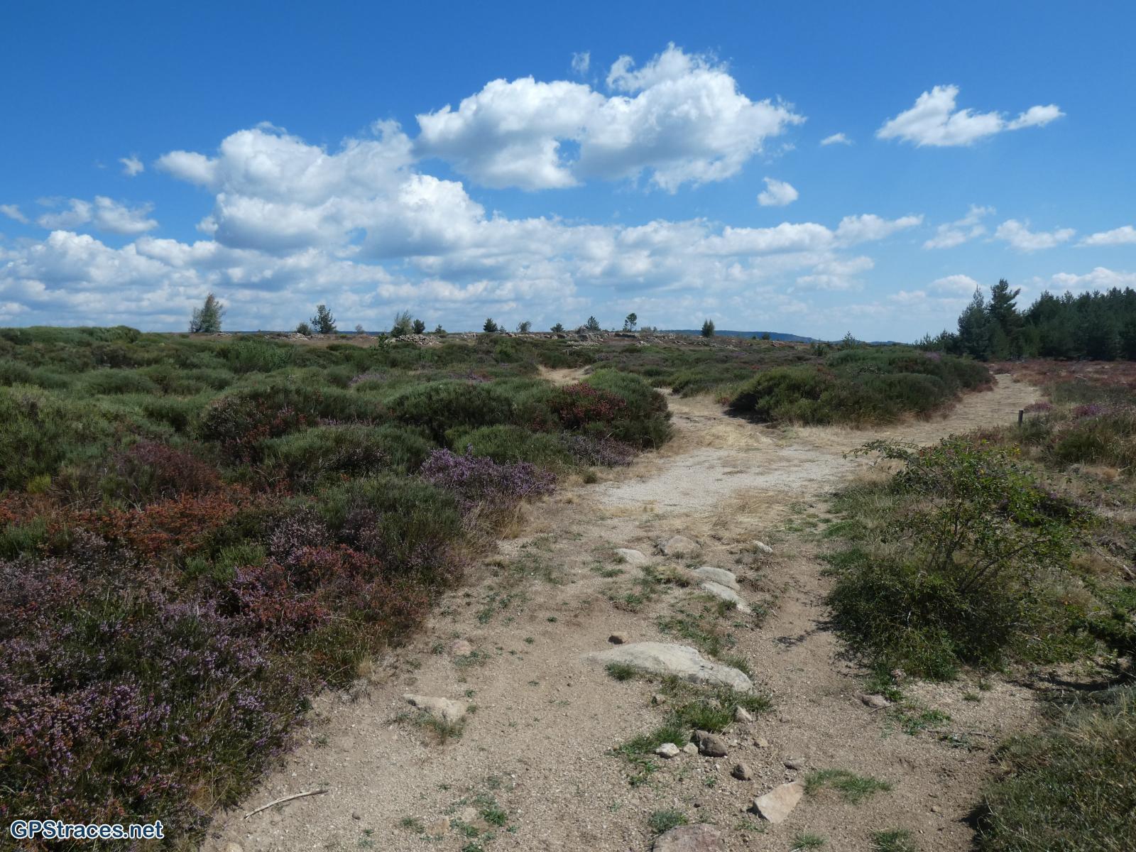 Lozère-Pied De Borne - Gorges du Chassezac–16