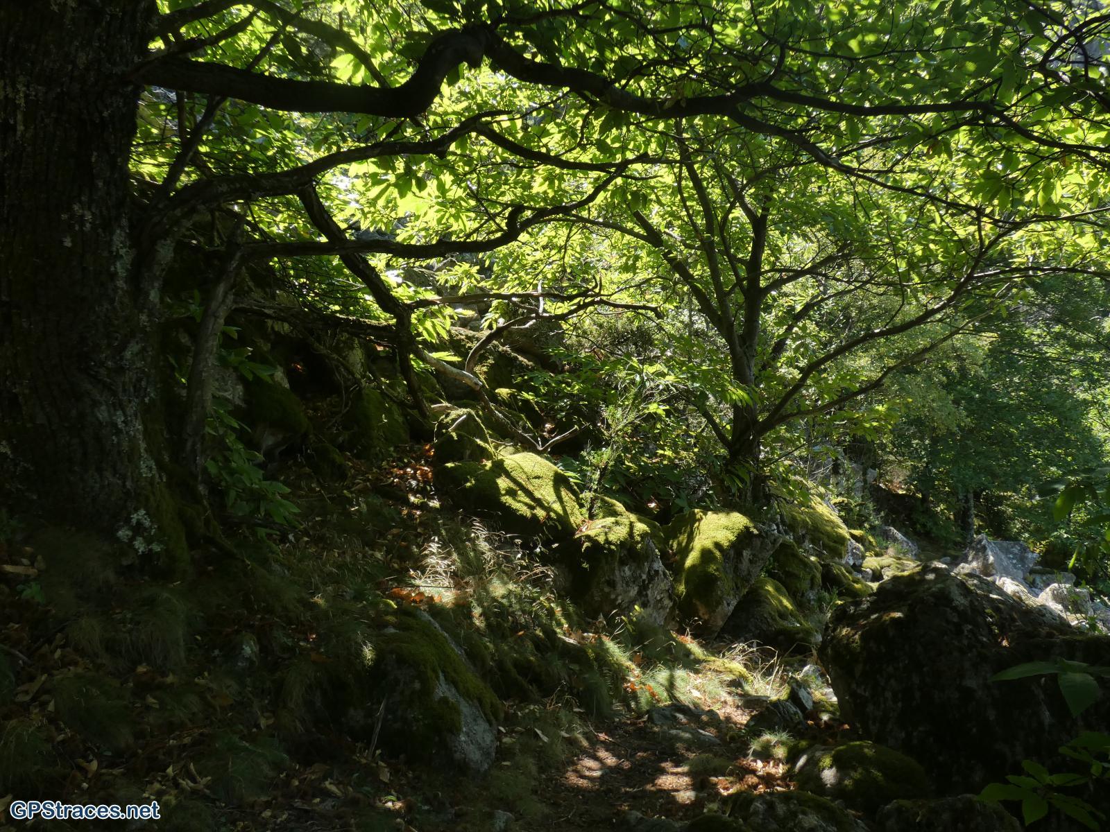 Lozère-Pied De Borne - Gorges du Chassezac–21