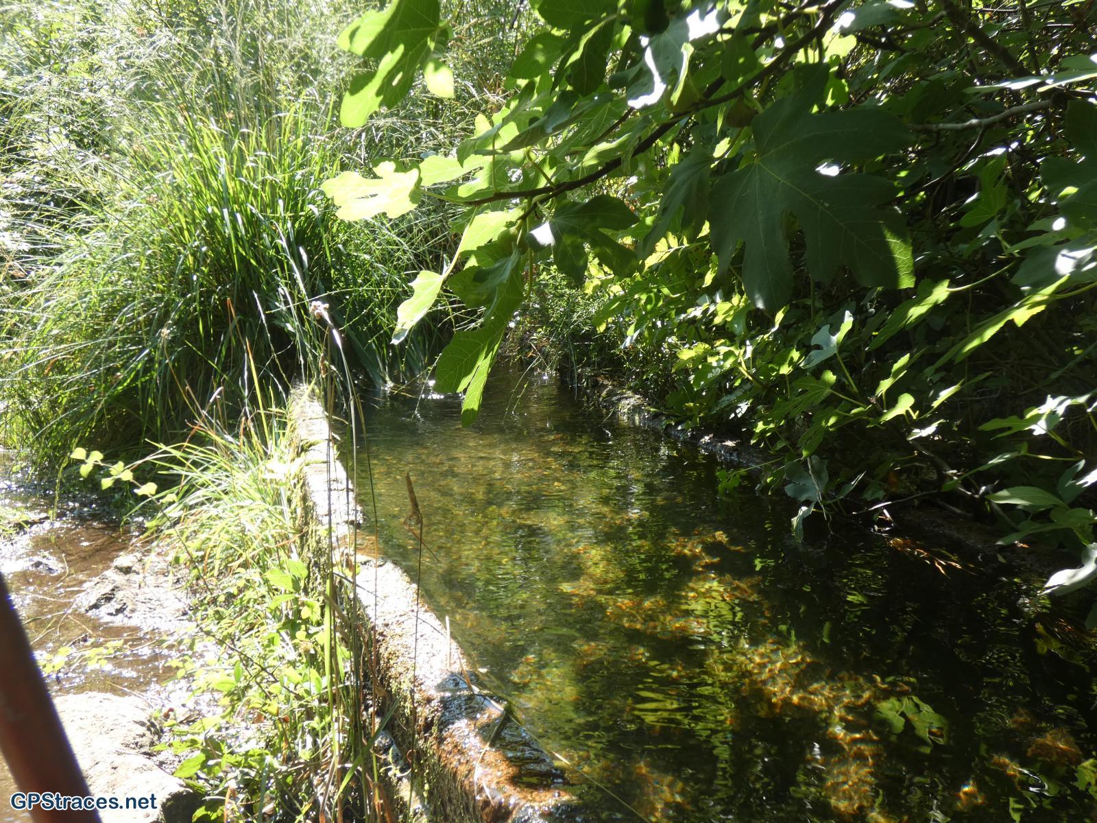 Lozère-Pied De Borne - Gorges du Chassezac–26