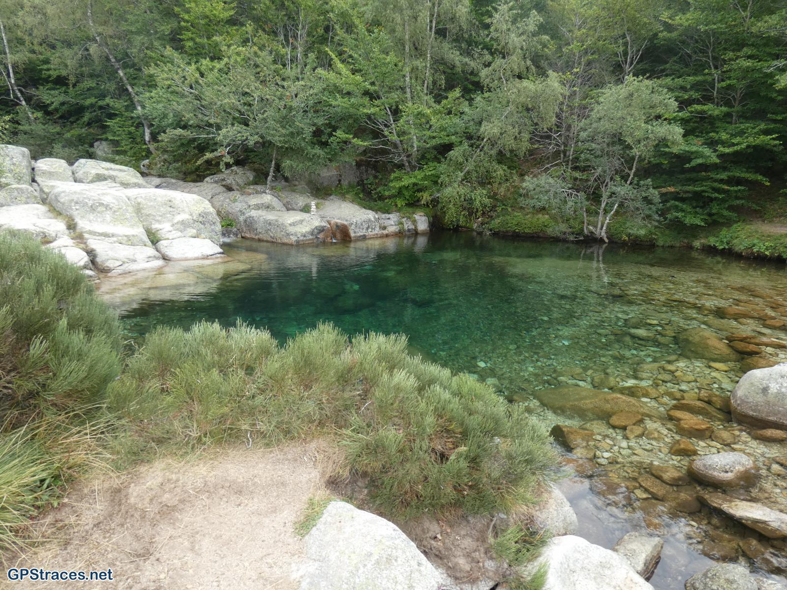 Une piscine naturelle