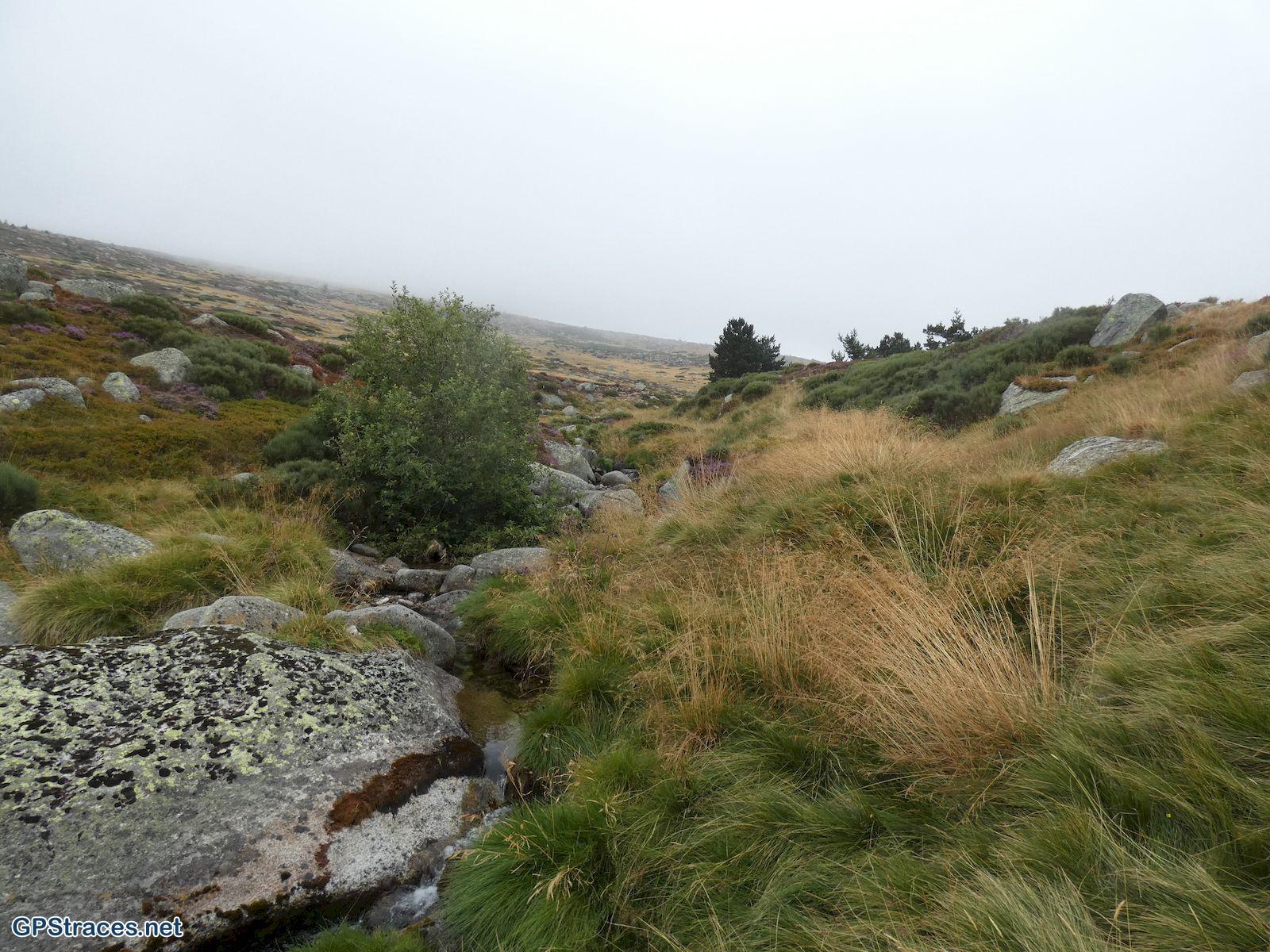 Lozère-Sources du Tarn - Pont du Tarn–6