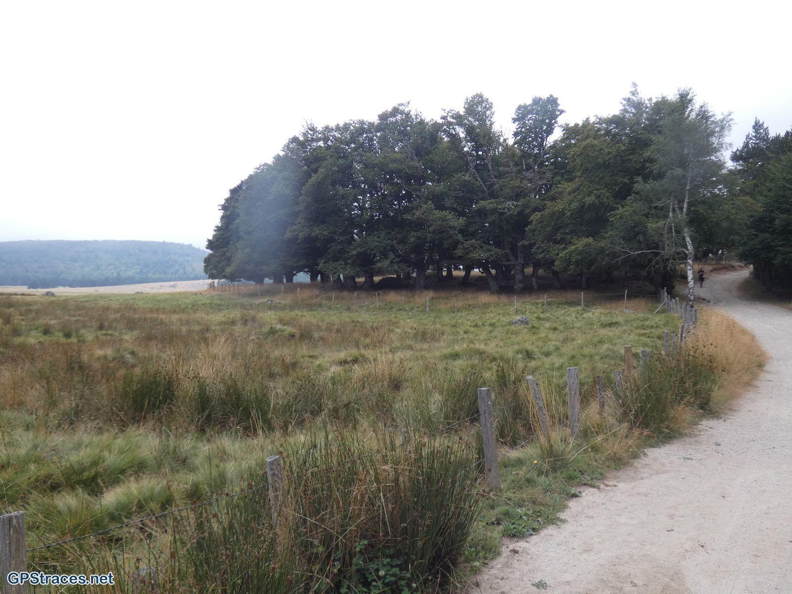 Sur le GR72