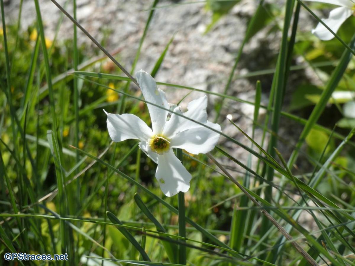 Lozère-Vialas-Gourdouze-Rochers de Trenze–7