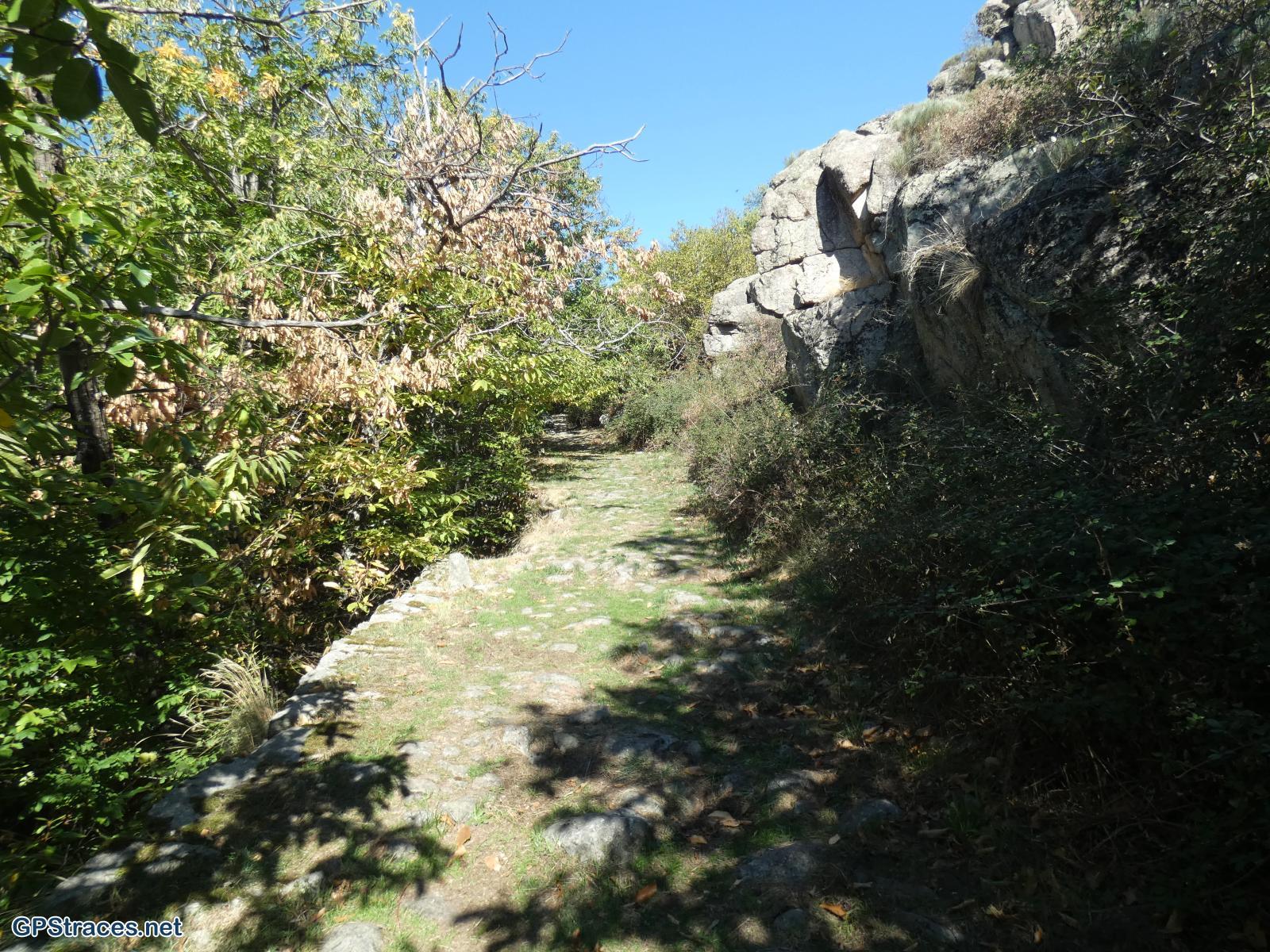 Lozère-Villefort - Le Lac - Voie Régordane - La Garde Guérin - Col de la Violette–6