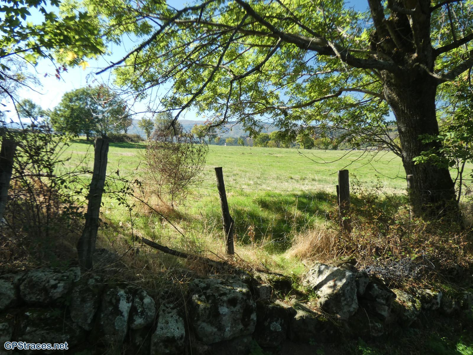 Lozère-Villefort - Le Lac - Voie Régordane - La Garde Guérin - Col de la Violette–9