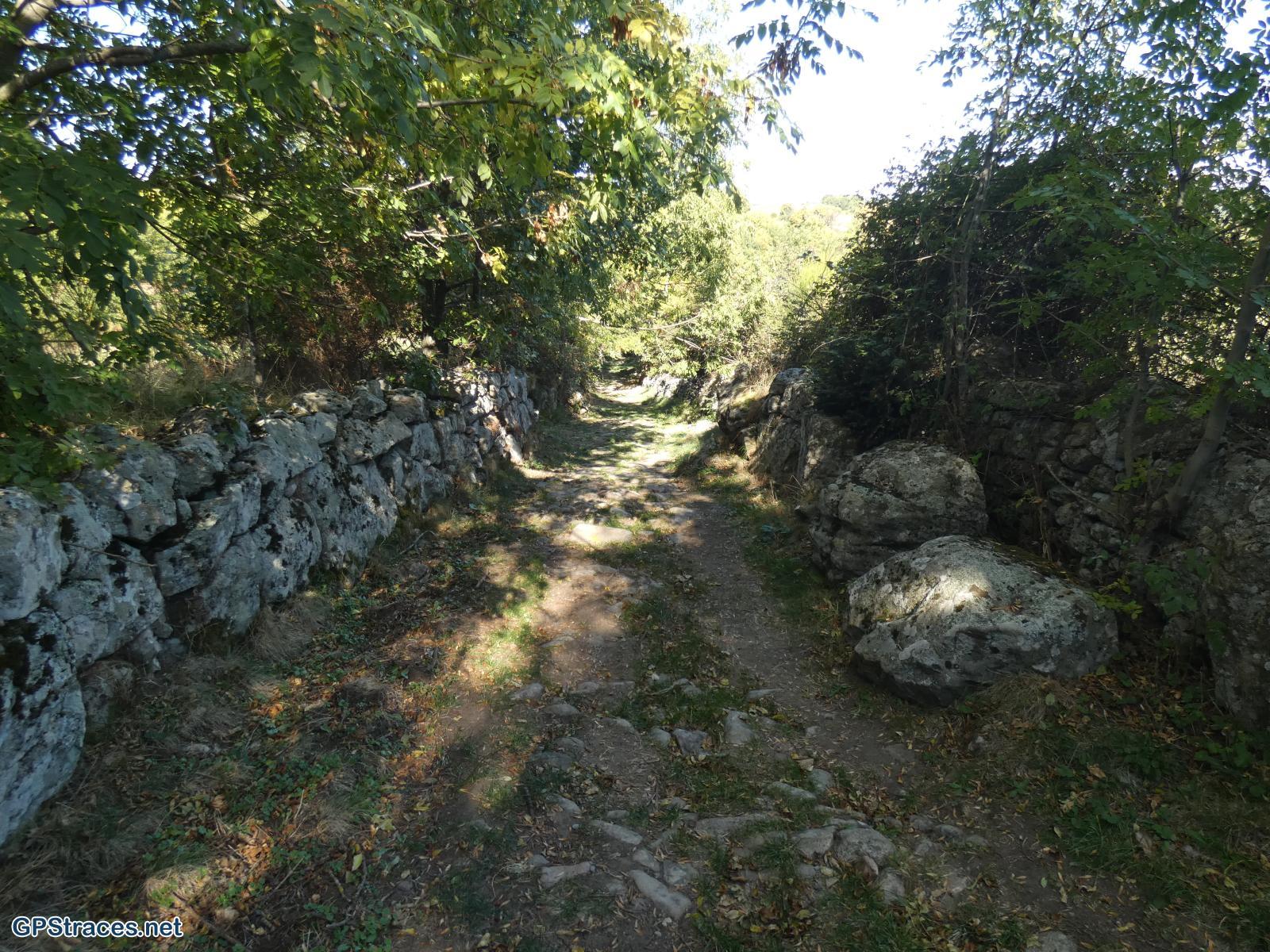 Lozère-Villefort - Le Lac - Voie Régordane - La Garde Guérin - Col de la Violette–10