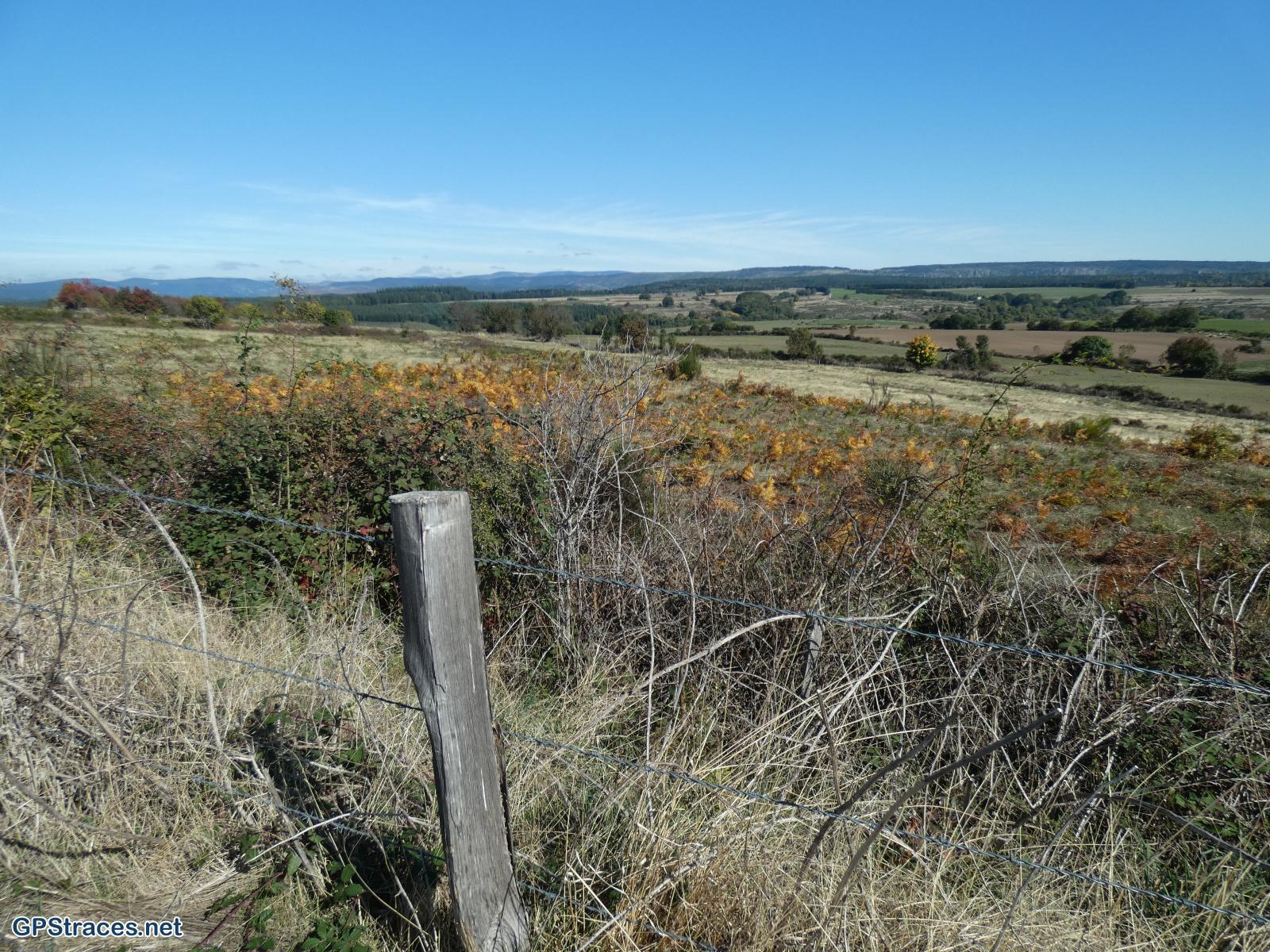 Lozère-Villefort - Le Lac - Voie Régordane - La Garde Guérin - Col de la Violette–15