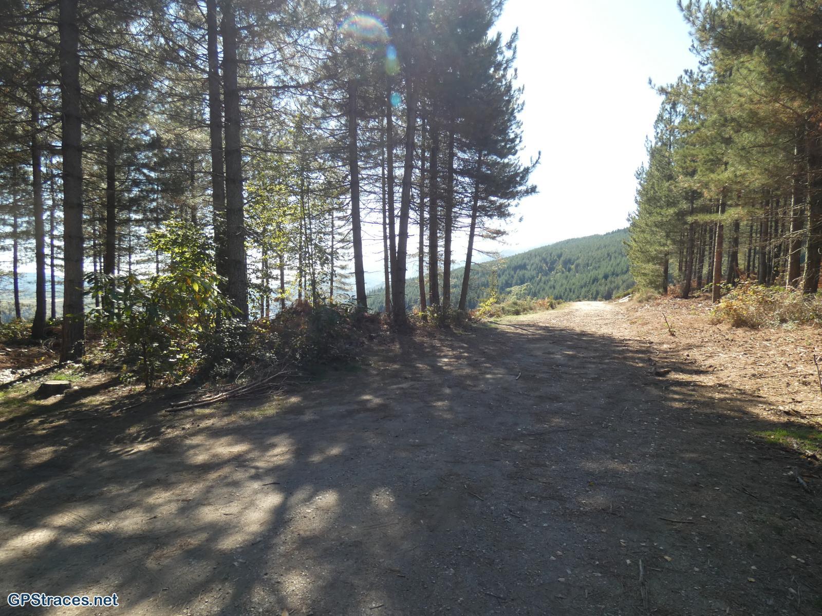 Le col de la Violette