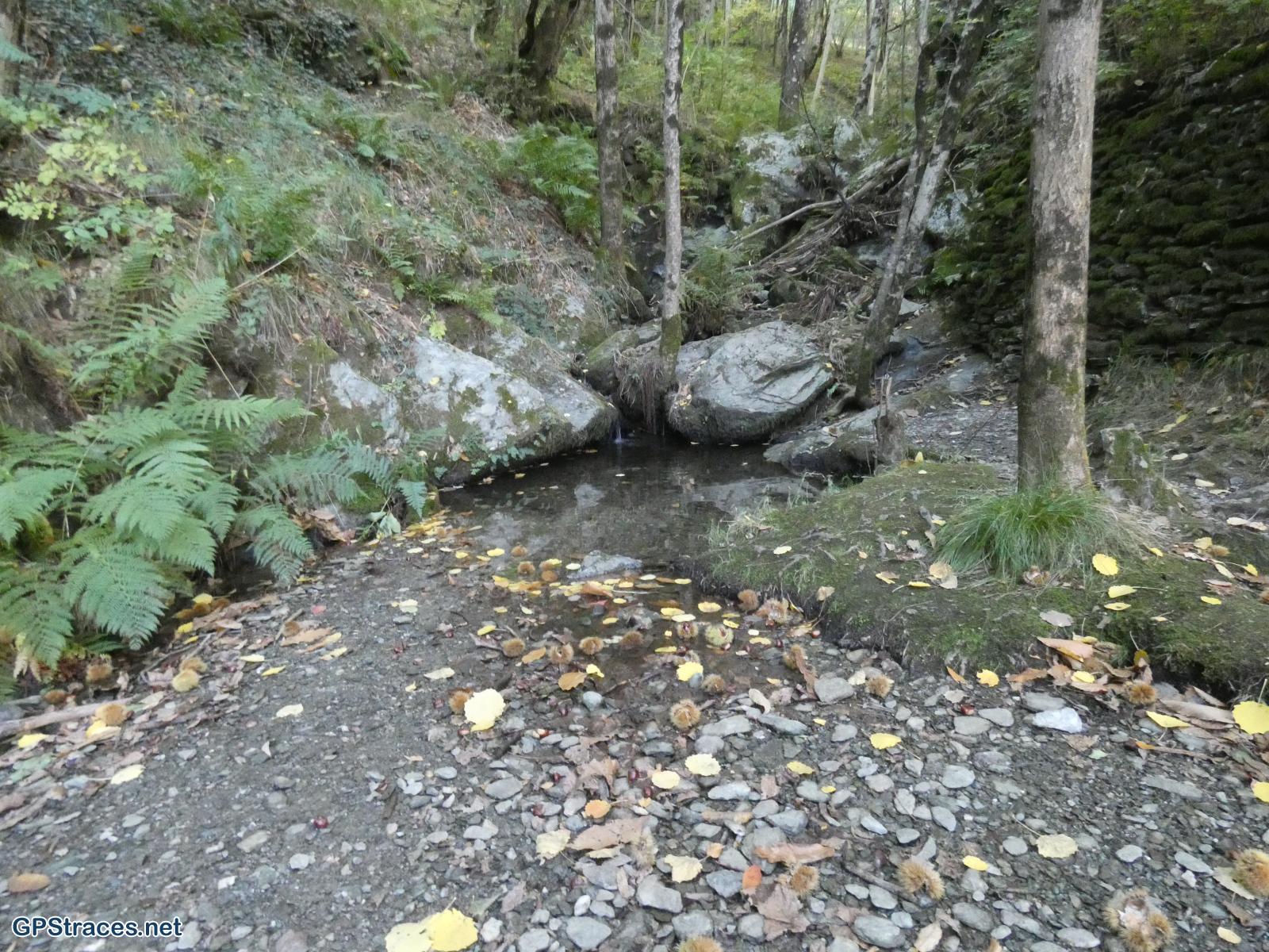 Lozère-Villefort - Le Lac - Voie Régordane - La Garde Guérin - Col de la Violette–24