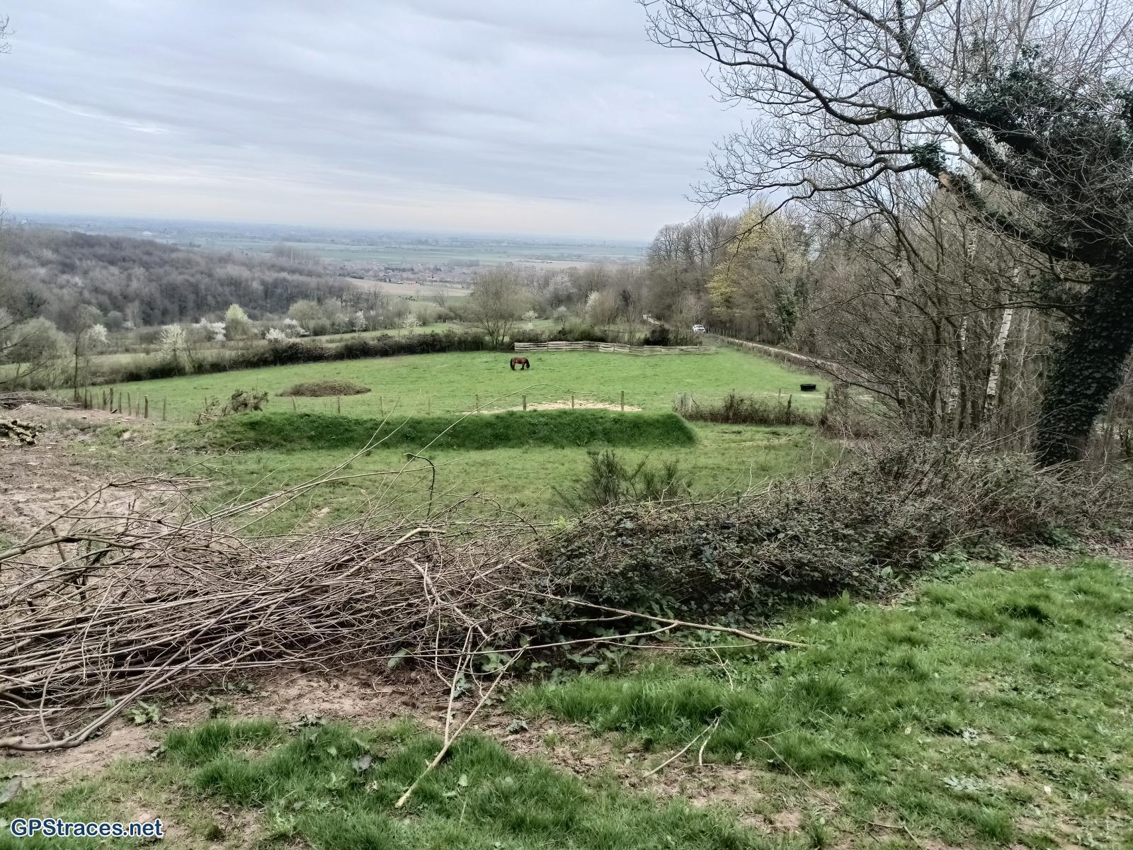Nord-Sentier des jacinthes St-Jans-Cappel 001–1