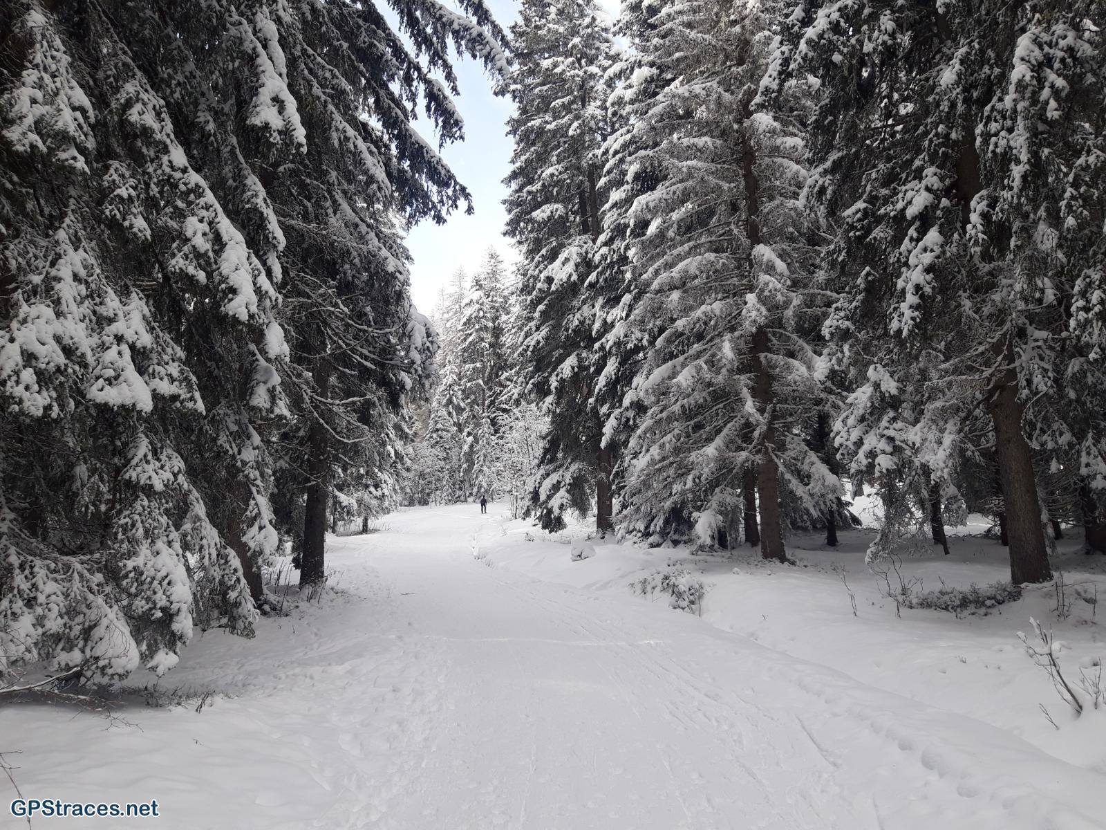Haute Savoie-Combloux - Sommet des Salles–2