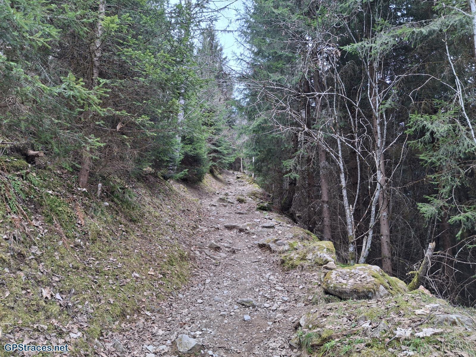 Haute Savoie-Du Cugnon au Pont Romain de la Téna–0
