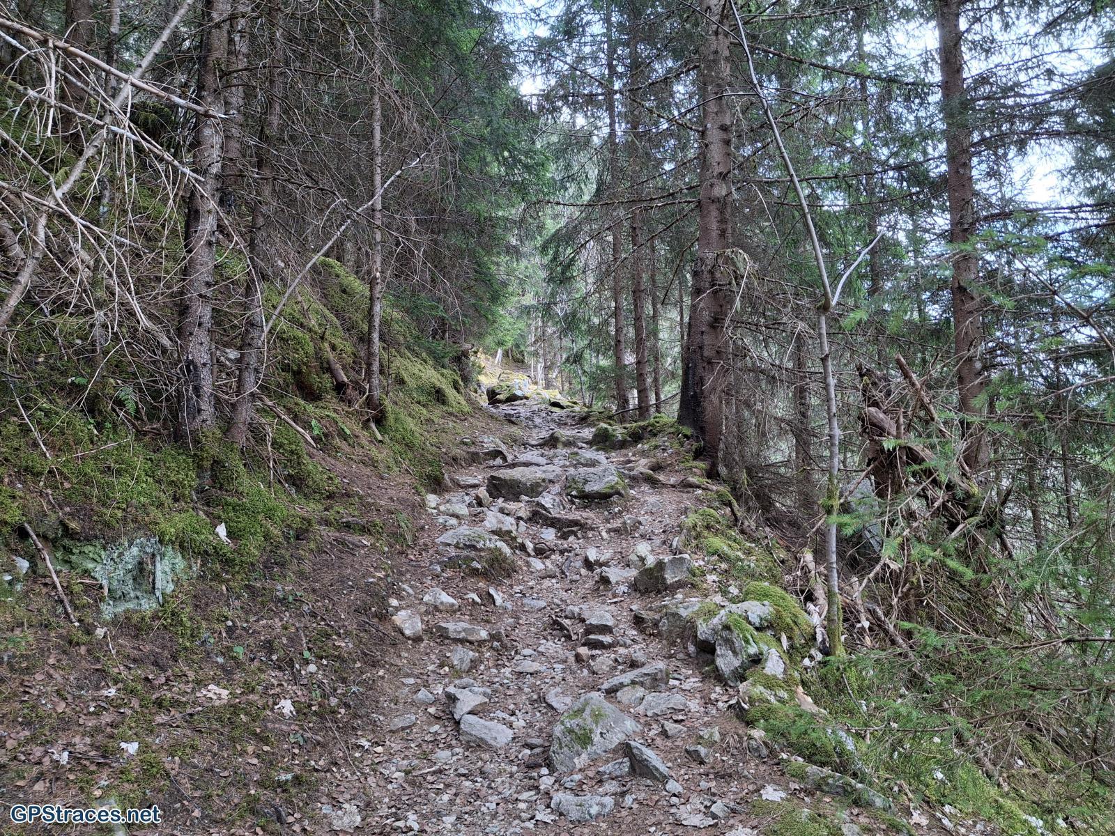 Haute Savoie-Du Cugnon au Pont Romain de la Téna–1